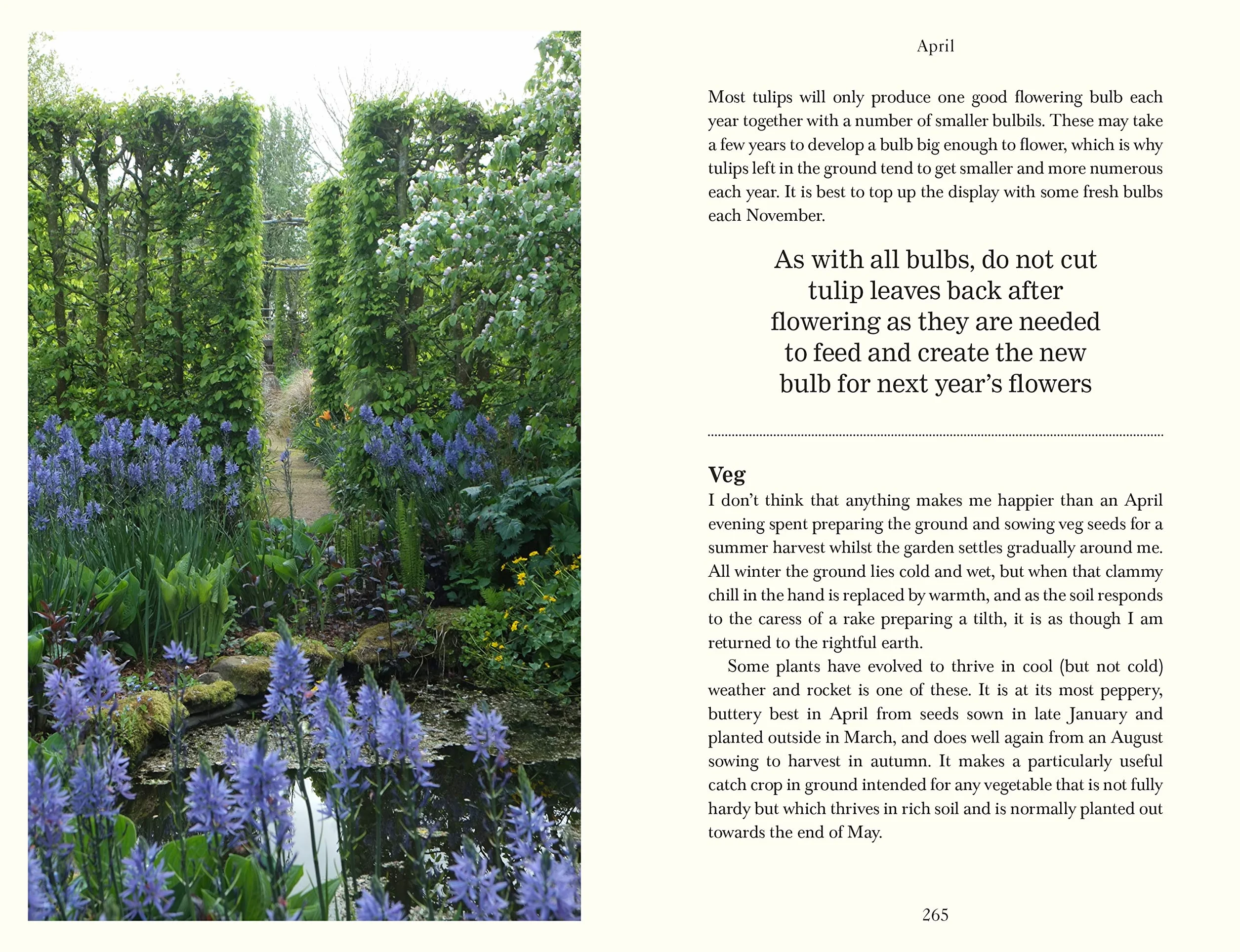 Down to Earth: Gardening Wisdom