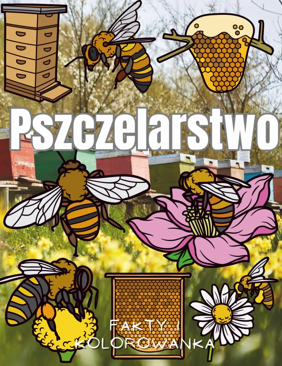 Pszczelarstwo: fakty i kolorowanka: Książka z aktywnościami dla dzieci w wieku od 2 do 12 lat