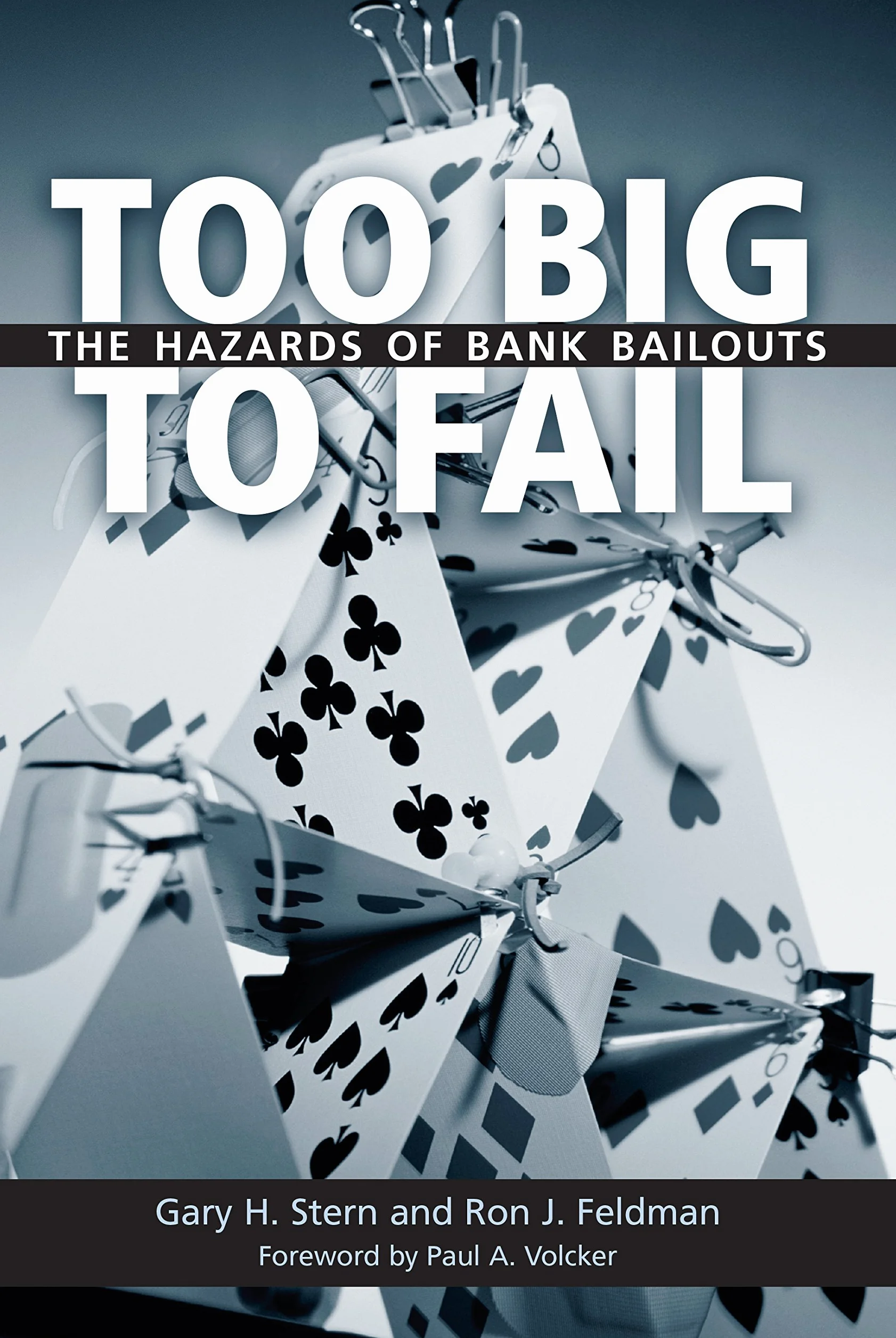 Too Big to Fail: The Hazards of Bank Bailouts