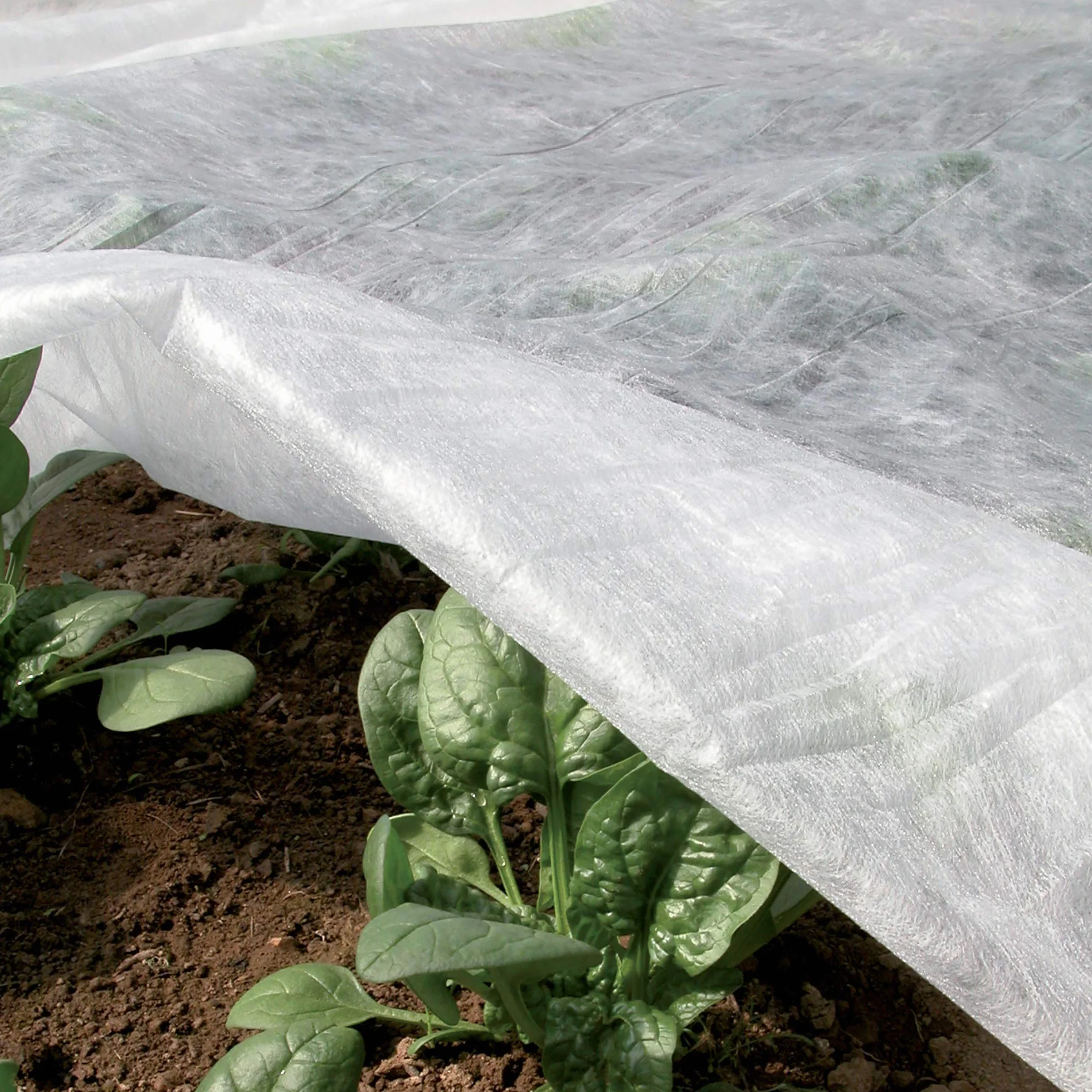 tenax Ortoclima Plus 2,40x5 m Biały, Ochronny welon do upraw, TNT Zima Heavy Włóknina dla roślin, Waga 30 g/m²
