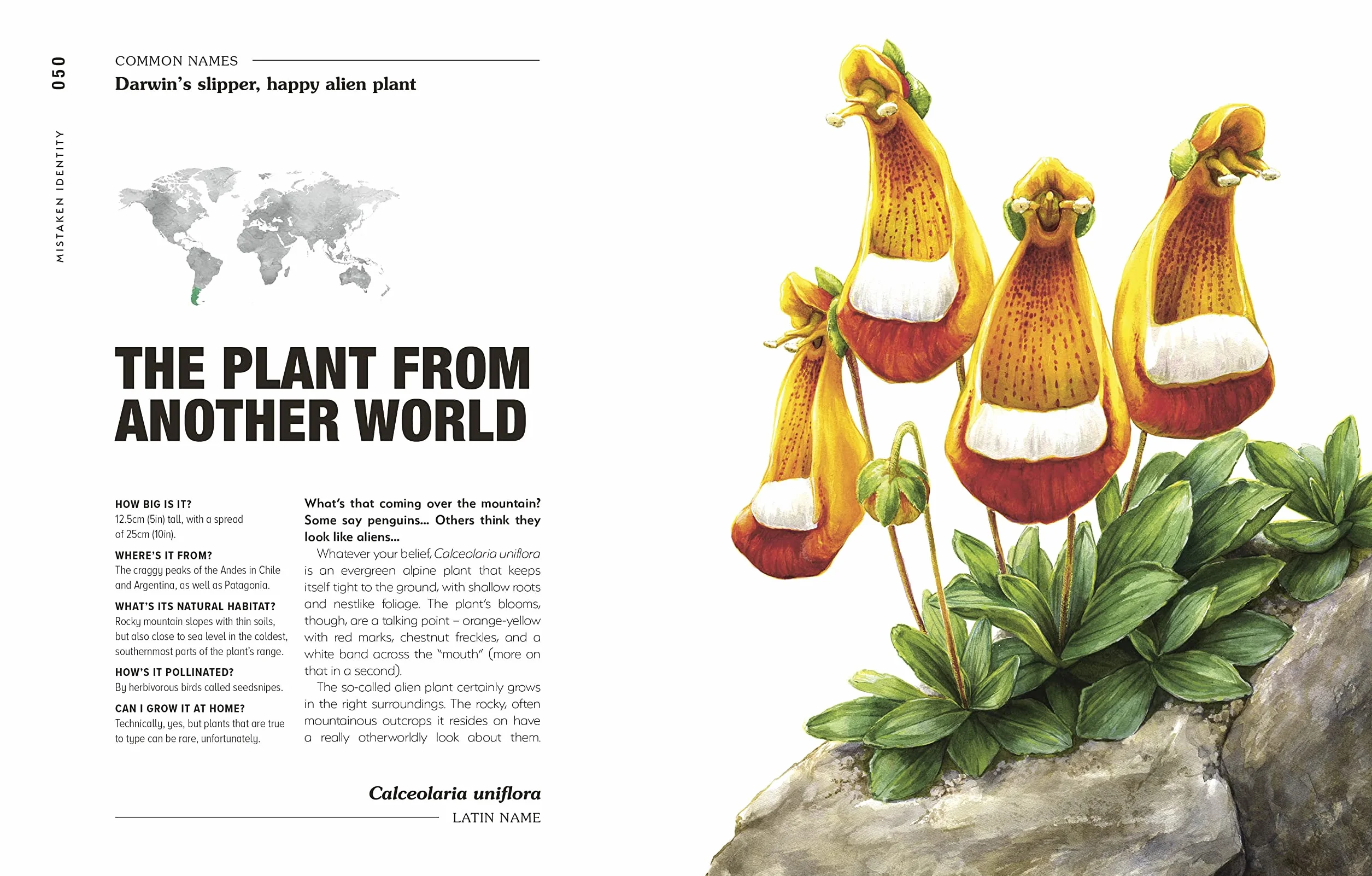 Hortus Curious: Discover the World's Most Weird and Wonderful Plants and Fungi