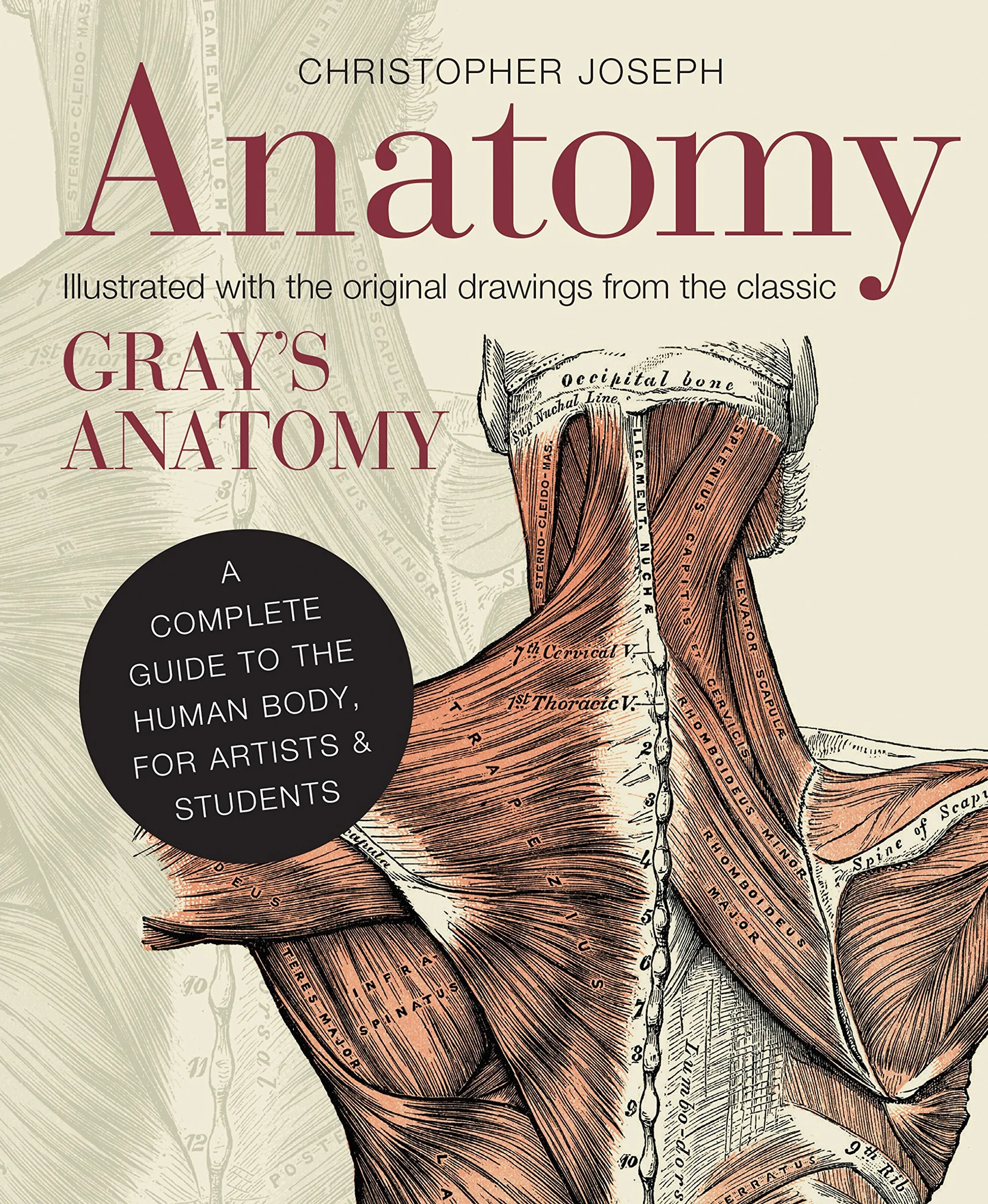 Anatomy /anglais: A Complete Guide to the Human Body, for Artists & Students