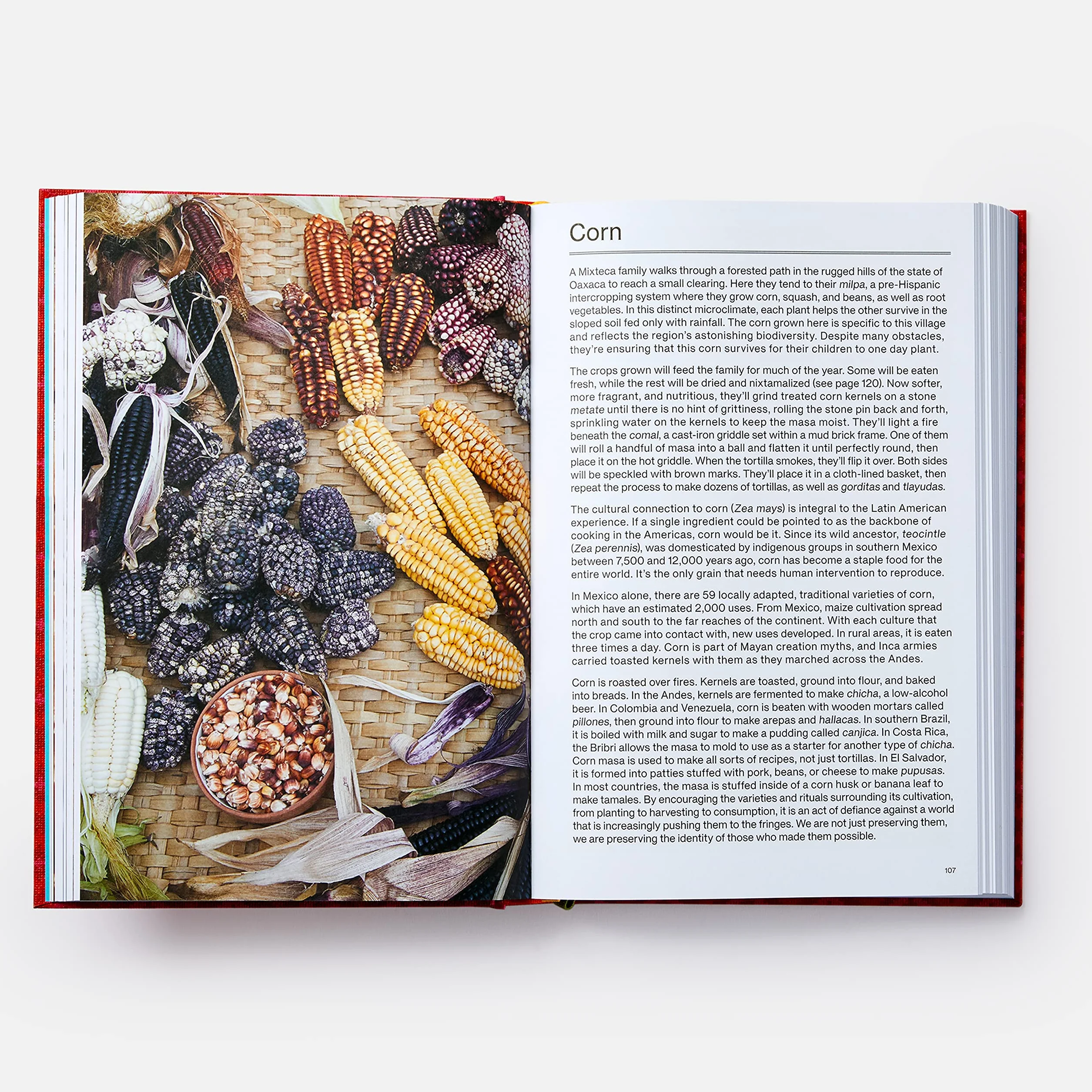 The latin american cookbook