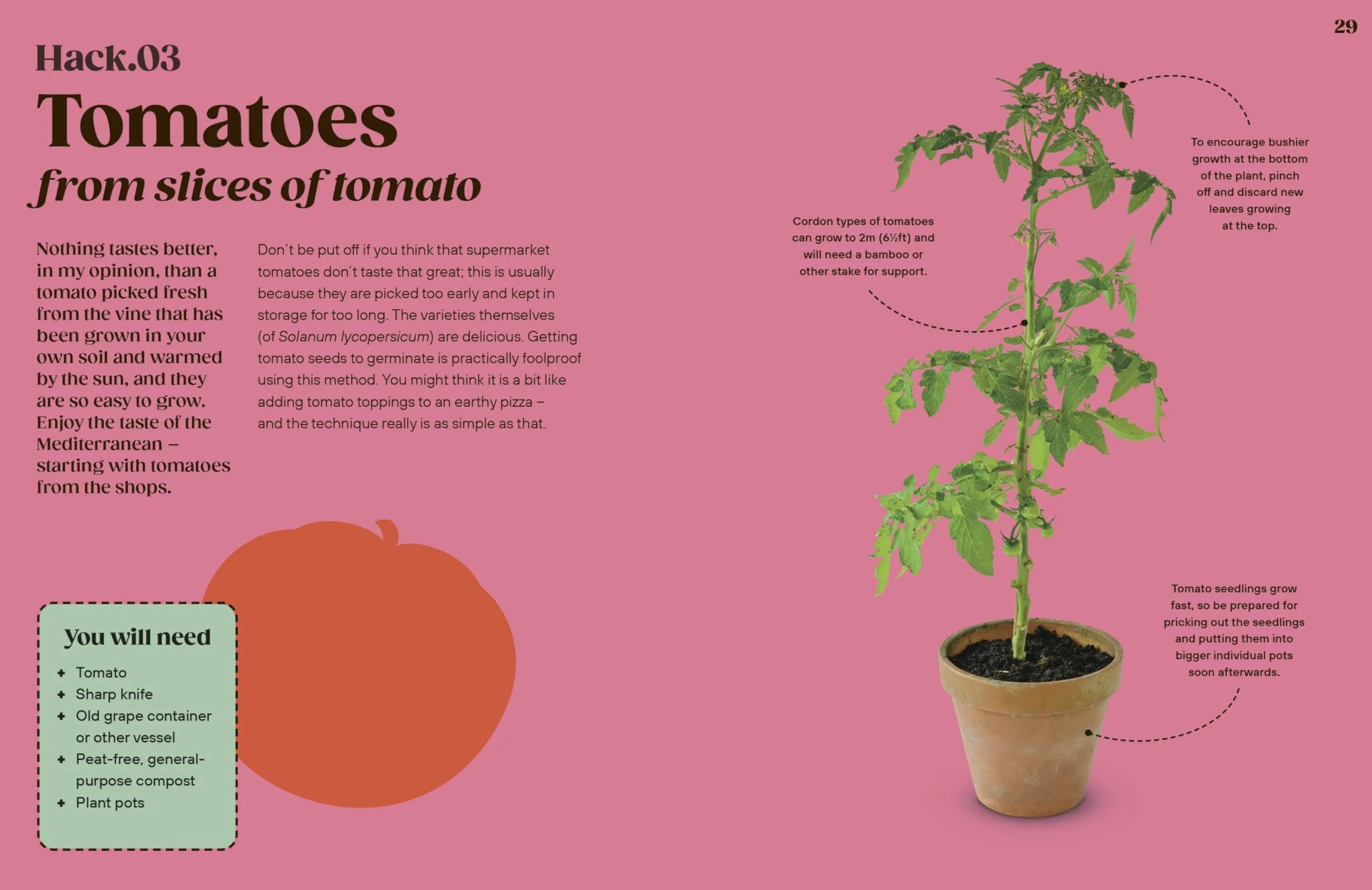 Grow Your Groceries: 40 Hacks for Growing Plants from Your Weekly Shop: A SUNDAY TIMES BESTSELLER