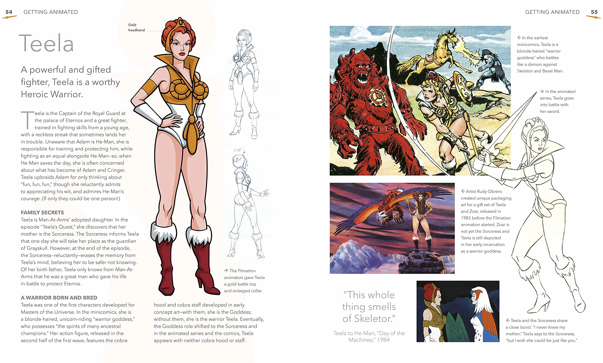 The Masters Of The Universe Book