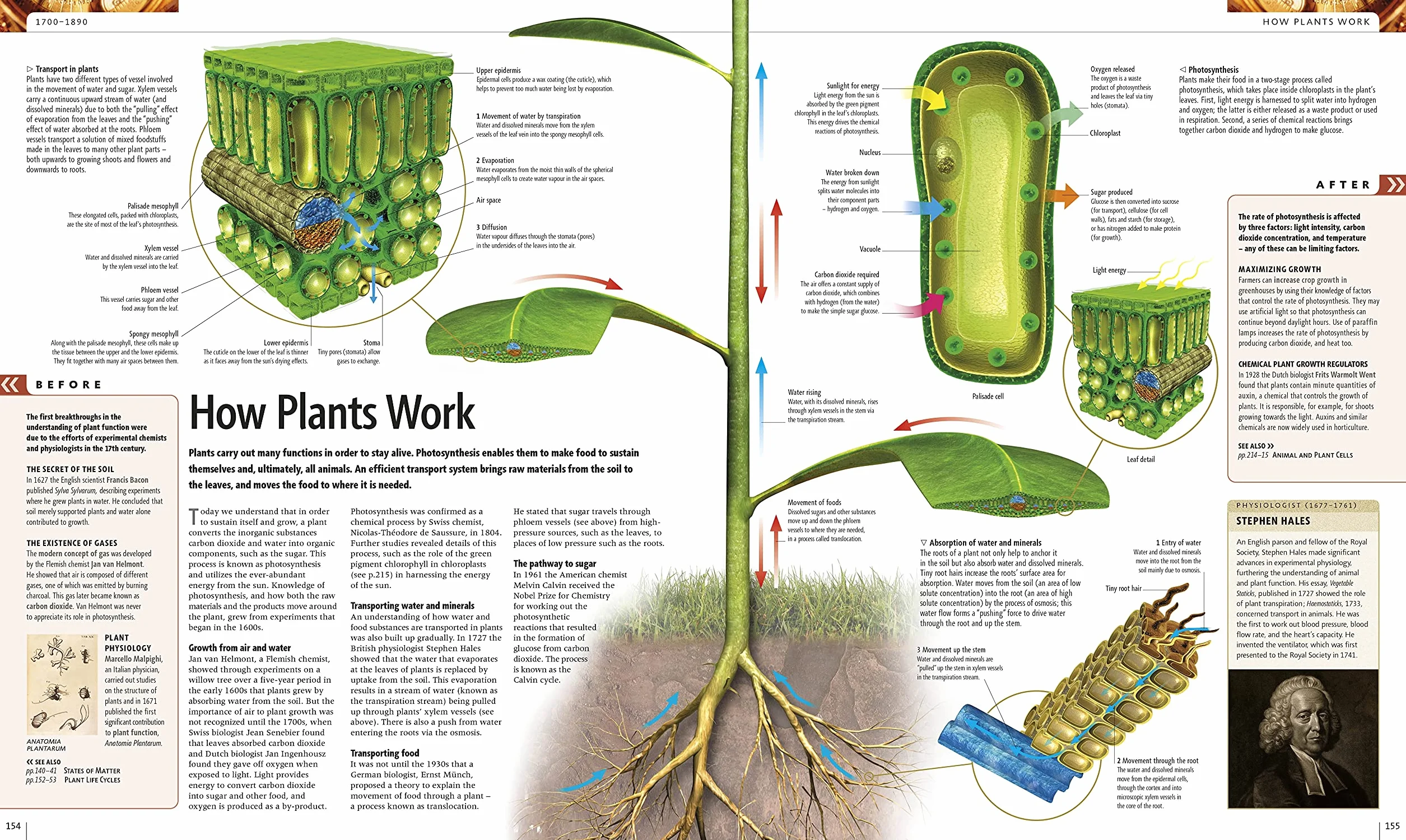 Science: The Definitive Visual Guide