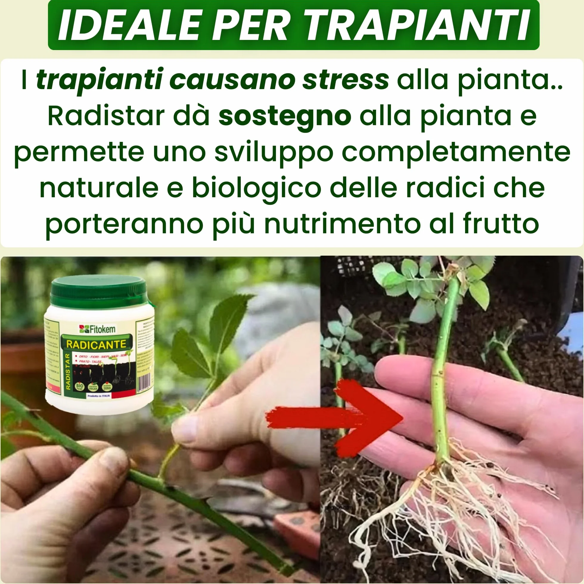 FITOKEM Radistar - Hormon sadzenia w proszku (400 gr) Organiczny proszek do korzeni mikoryzy, stymuluje produkcję i naturalny wzrost korzeni, wyprodukowany we Włoszech