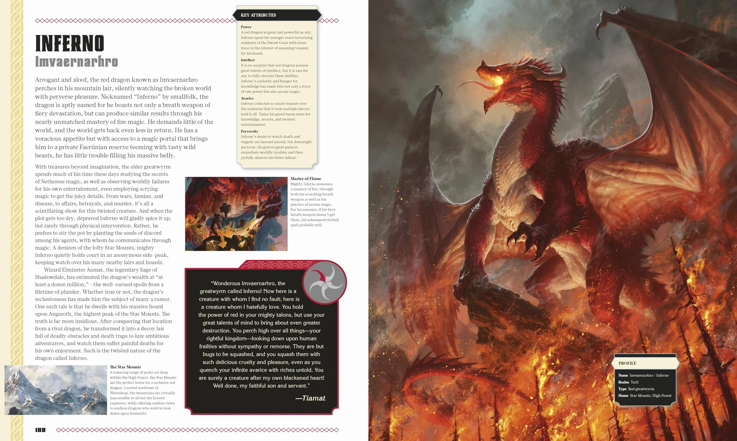 Dungeons & Dragons The Book of Dragons