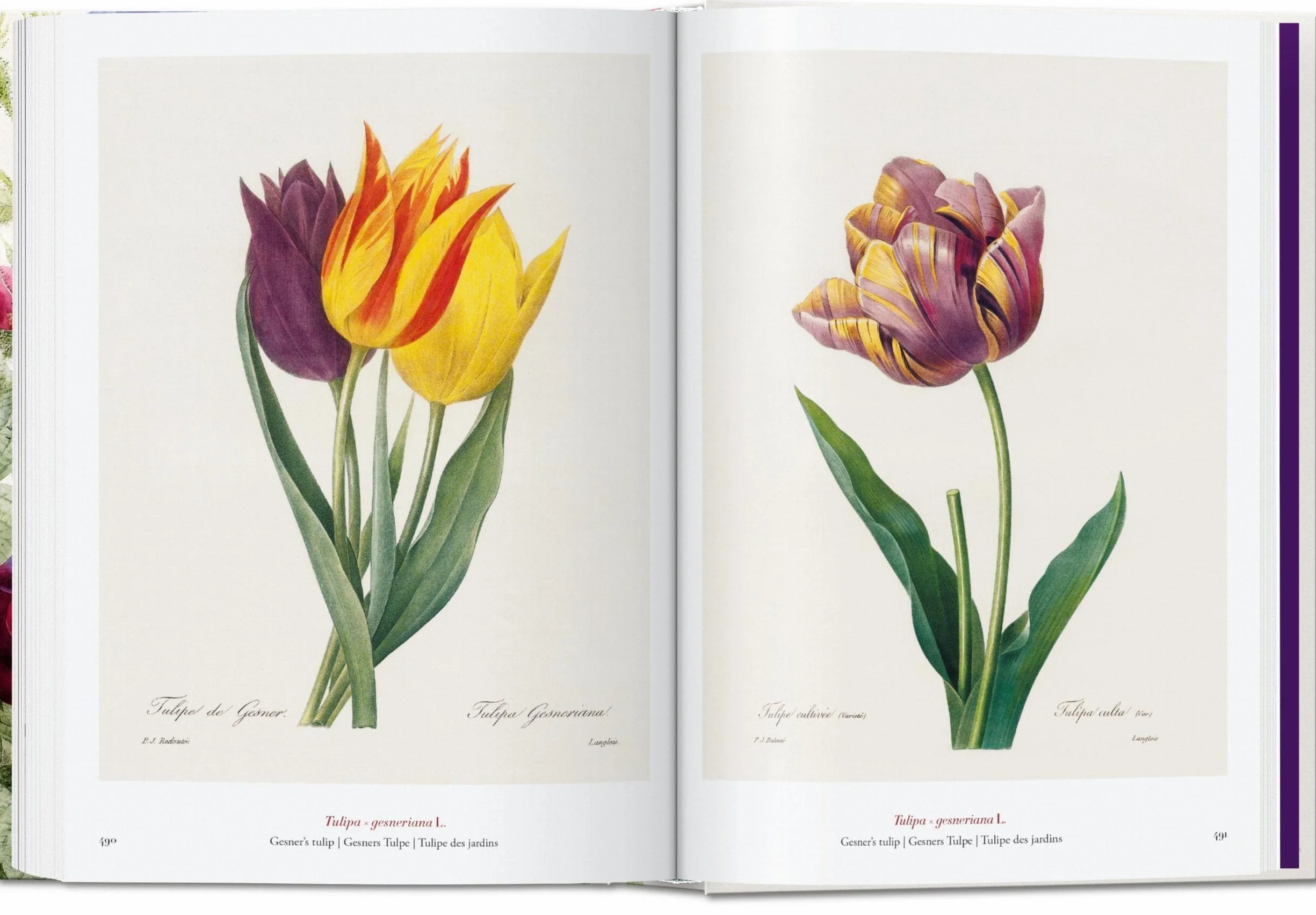 Le livre des fleurs: The Book of Flowers. 45th Ed.