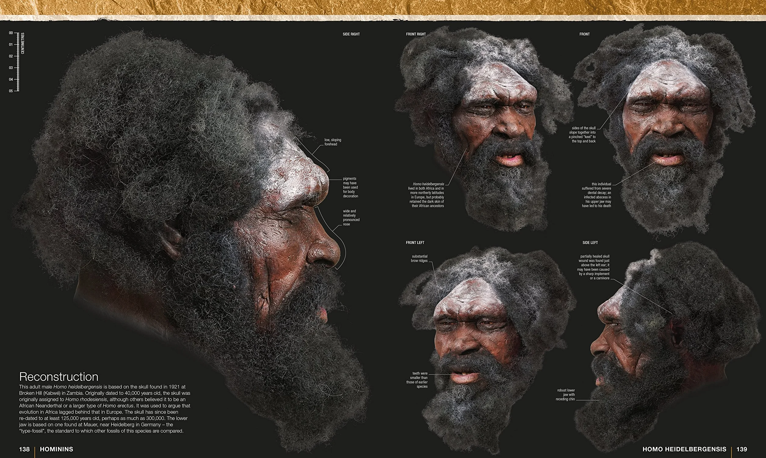 Evolution: The Human Story