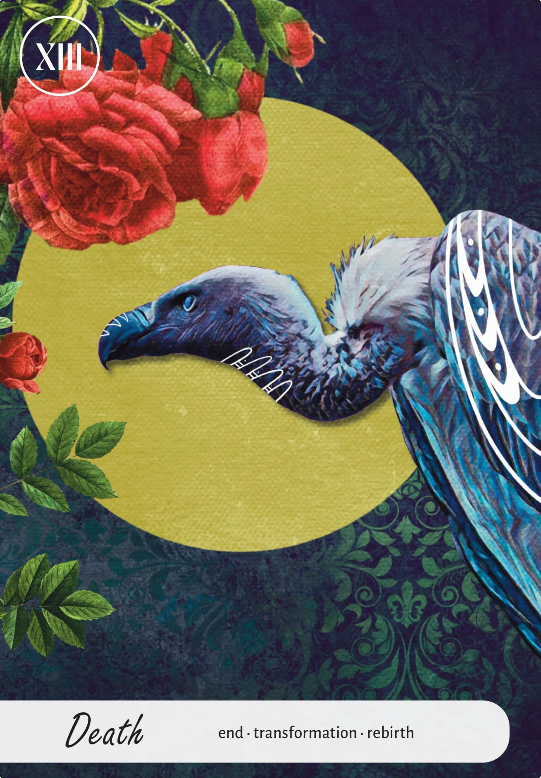 Wise Earth Medicine Tarot: (78 Full-Color Cards and 96-Page Full-Color Guidebook)