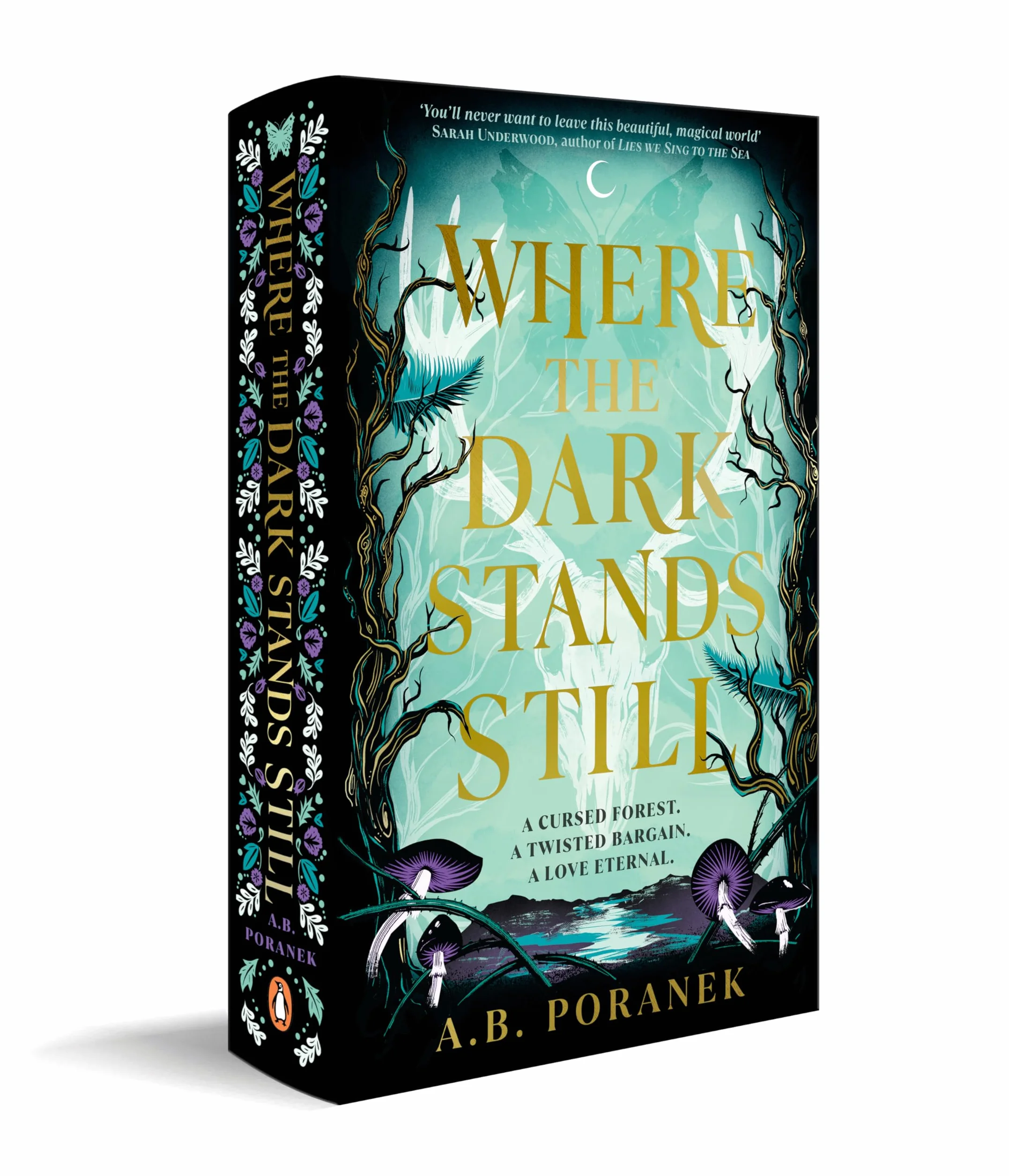 Where the Dark Stands Still: A sweeping, gothic YA fairytale romance