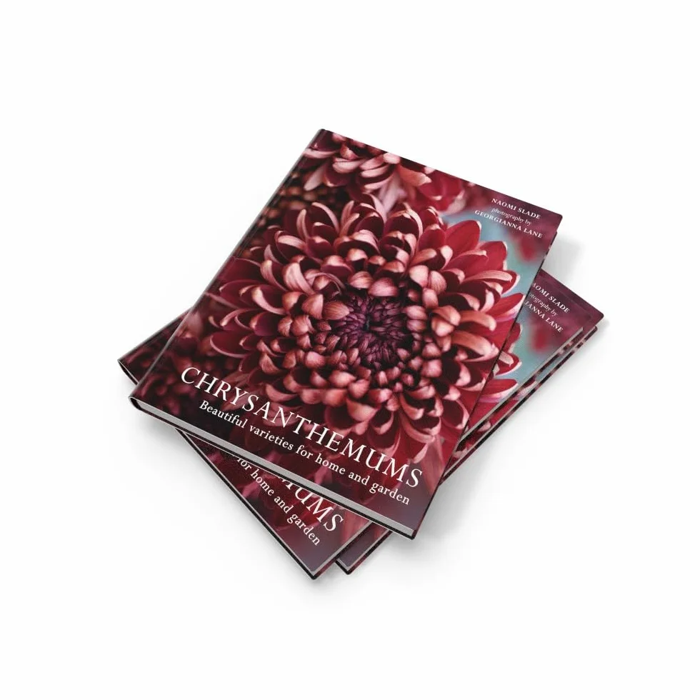 Chrysanthemums: The ultimate guide for growing and cutting flower varieties for the home and garden