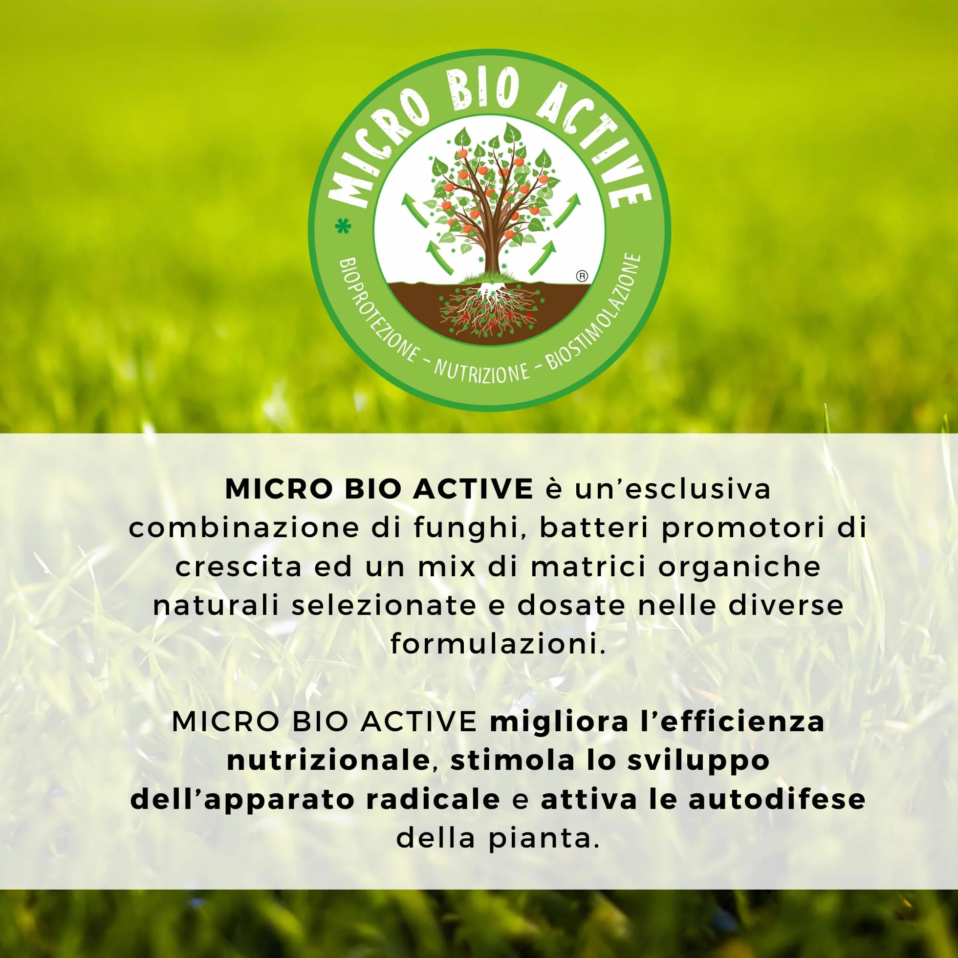 Tricomic Bio – Inokulo z grzybów mikoryzowych, Beauveria bassiana, Metarhizium – stymuluje ekspansję korzeni – 1 kg
