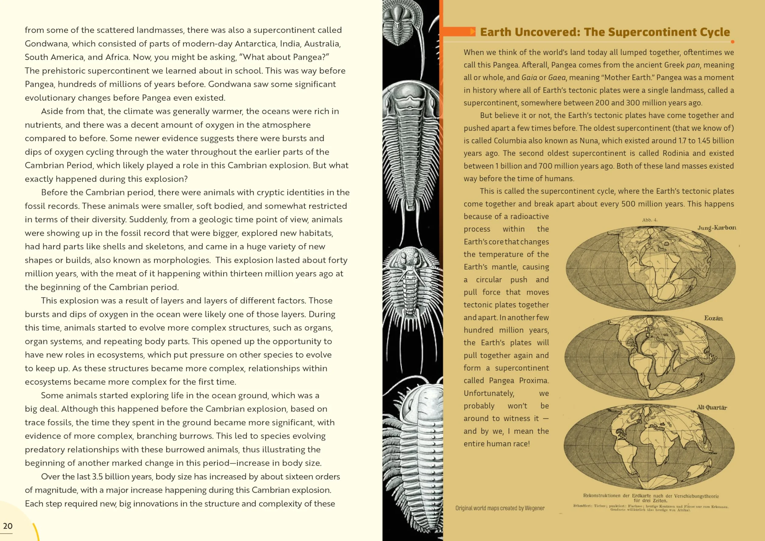 Epic Earth: A Wild Ride Through the History of Life on Our Planet