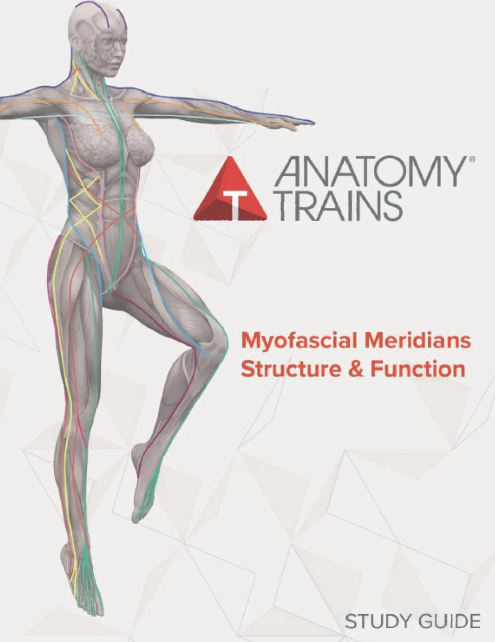 Anatomy Trains Myofascial Meridians Structure & Function Study Guide