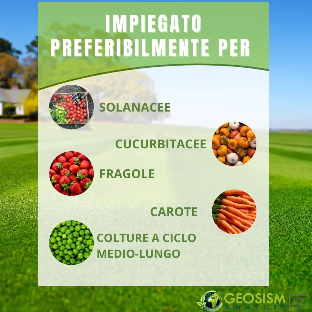 Geomicor Radicant Solid, (1 kg), inoculo granulare di funghi micorrizici e batteri della rizosfera per ortaggi, piante e fiori