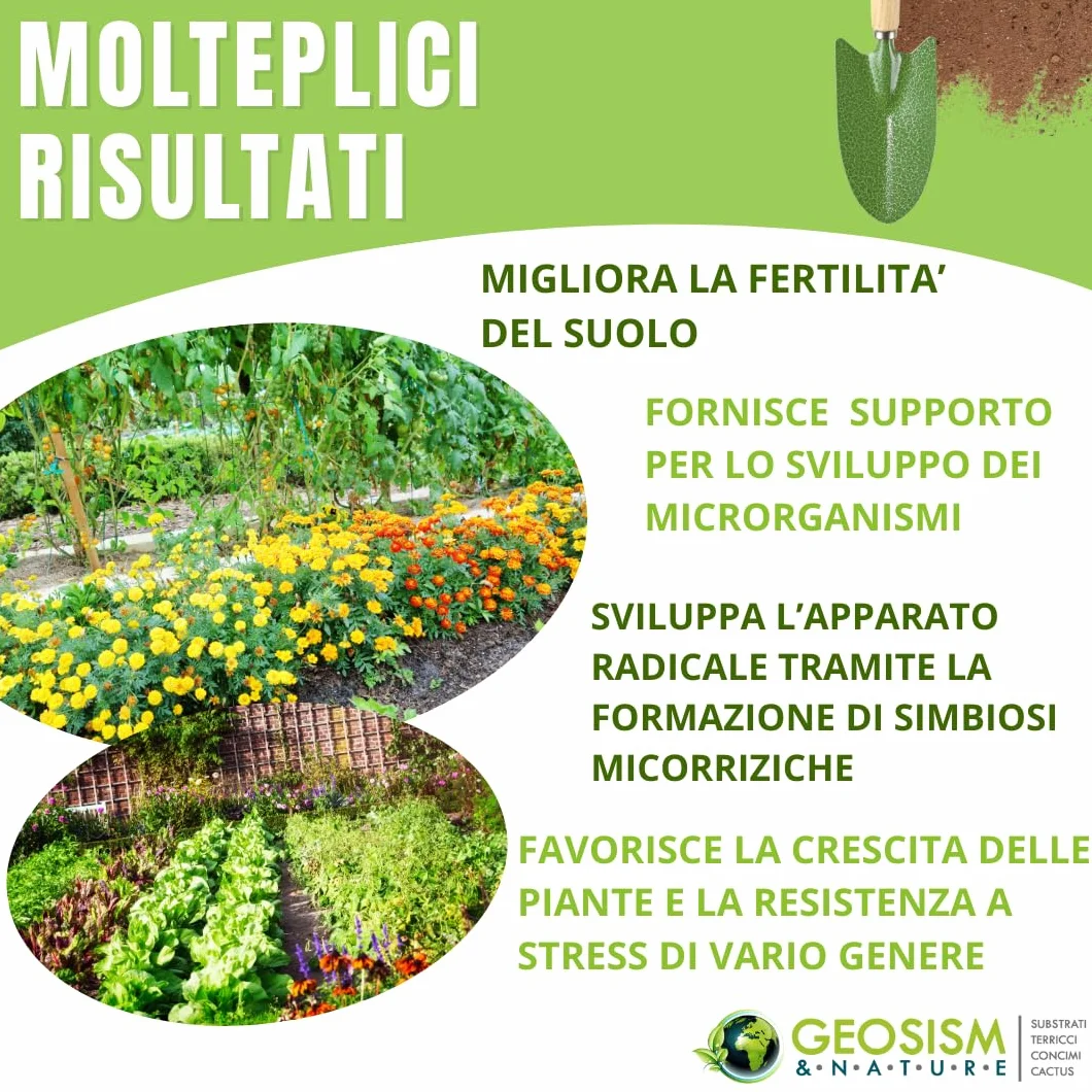 Geomicor Radicant Solid, (1 kg), inoculo granulare di funghi micorrizici e batteri della rizosfera per ortaggi, piante e fiori