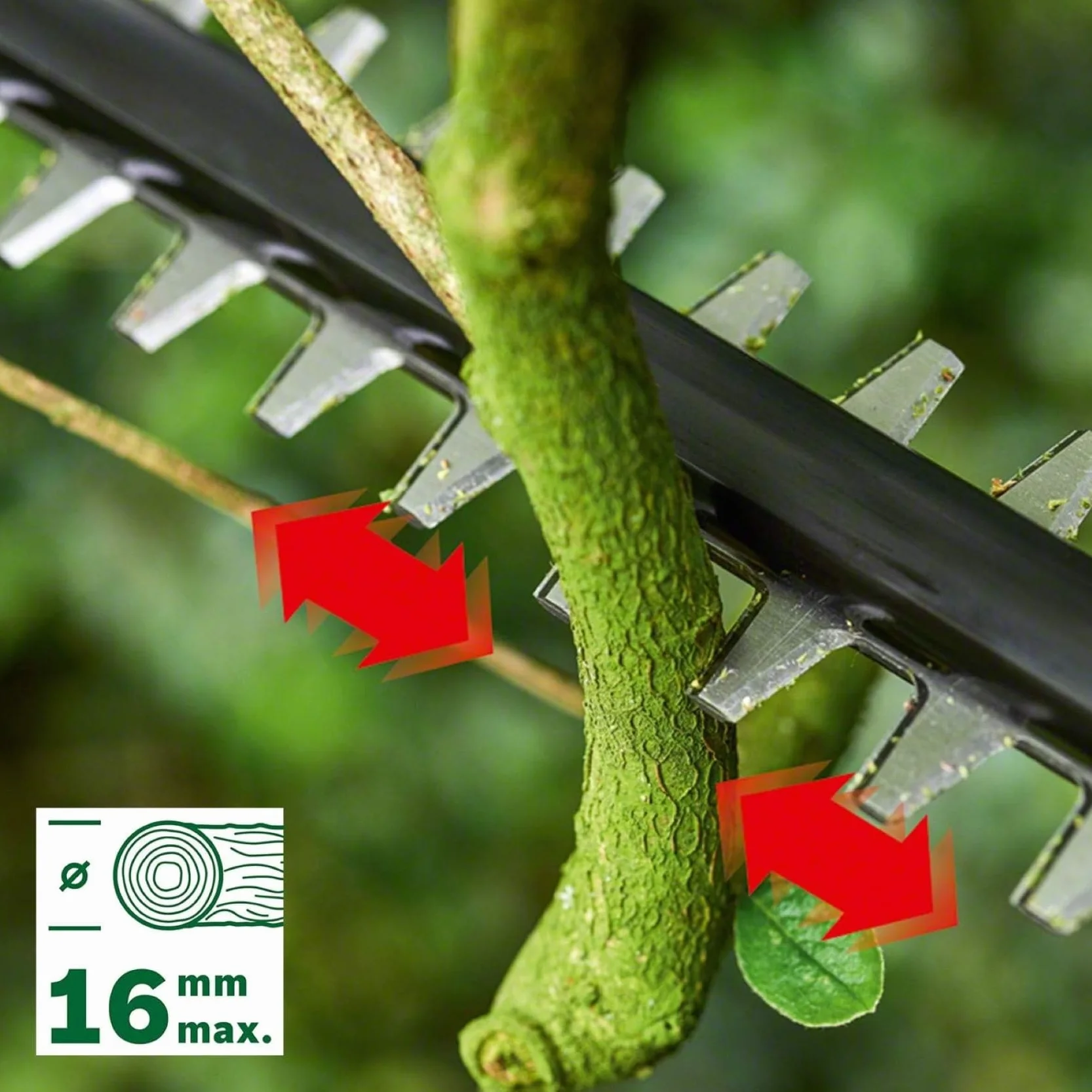 Bosch Home And Garden: akumulatorowy sekator teleskopowy Universal HedgePole 18 (długość ostrza 43 cm, zasięg do 2.6 m)