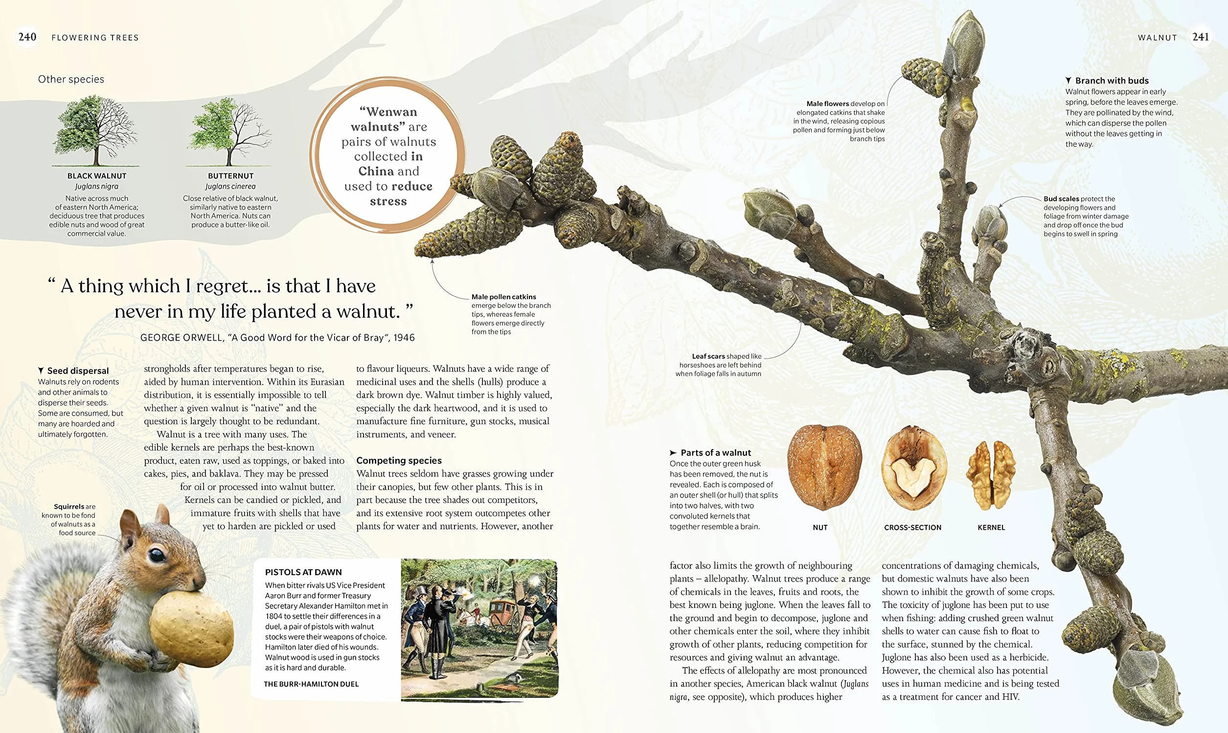 The Tree Book: The Stories, Science, and History of Trees