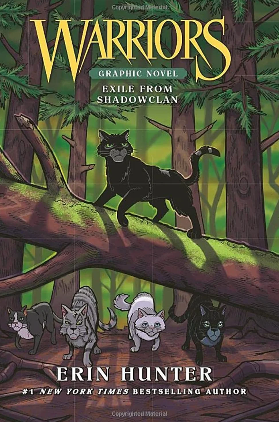 Warriors: Exile from Shadowclan (Full-Color Adventure)