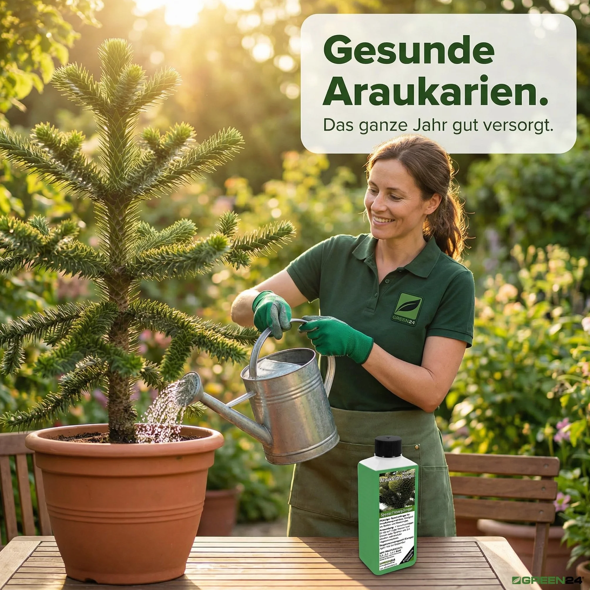 GREEN24 nawóz do araukarii HIGH-TECH, nawóz roślinny dla Araucaria Andentanne Araukarie Schmucktanne