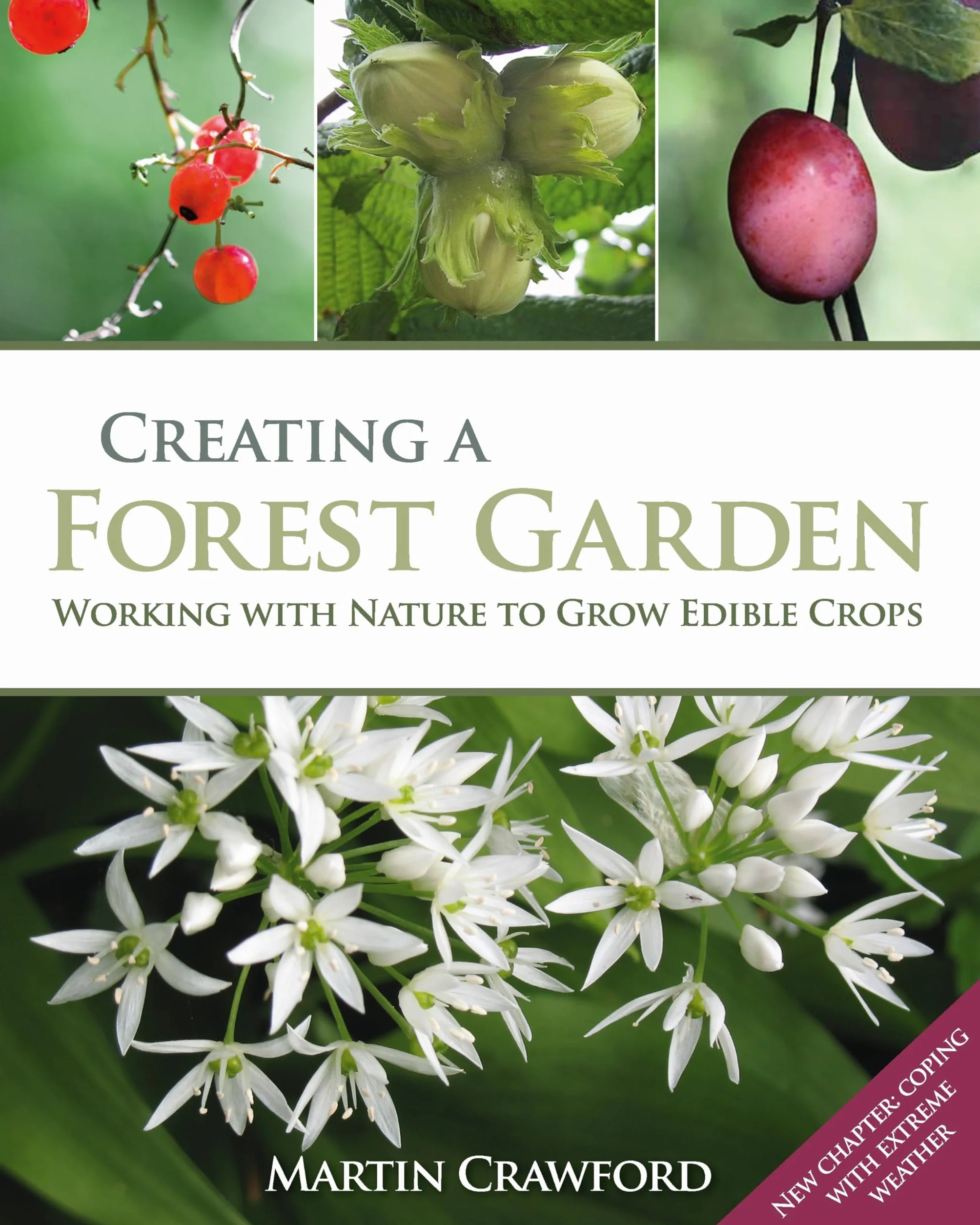 Creating a Forest Garden: Working with Nature to Grow Edible Crops