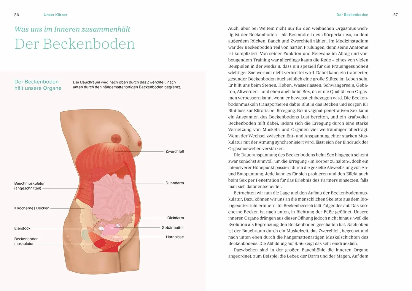 Das große Gynbuch: Selbstbewusst für den eigenen Körper entscheiden. Sex, Zyklus, Wechseljahre aus weiblicher Sicht neu verstehen. Krankheiten erkennen und therapieren | Aktualisierte Neuausgabe