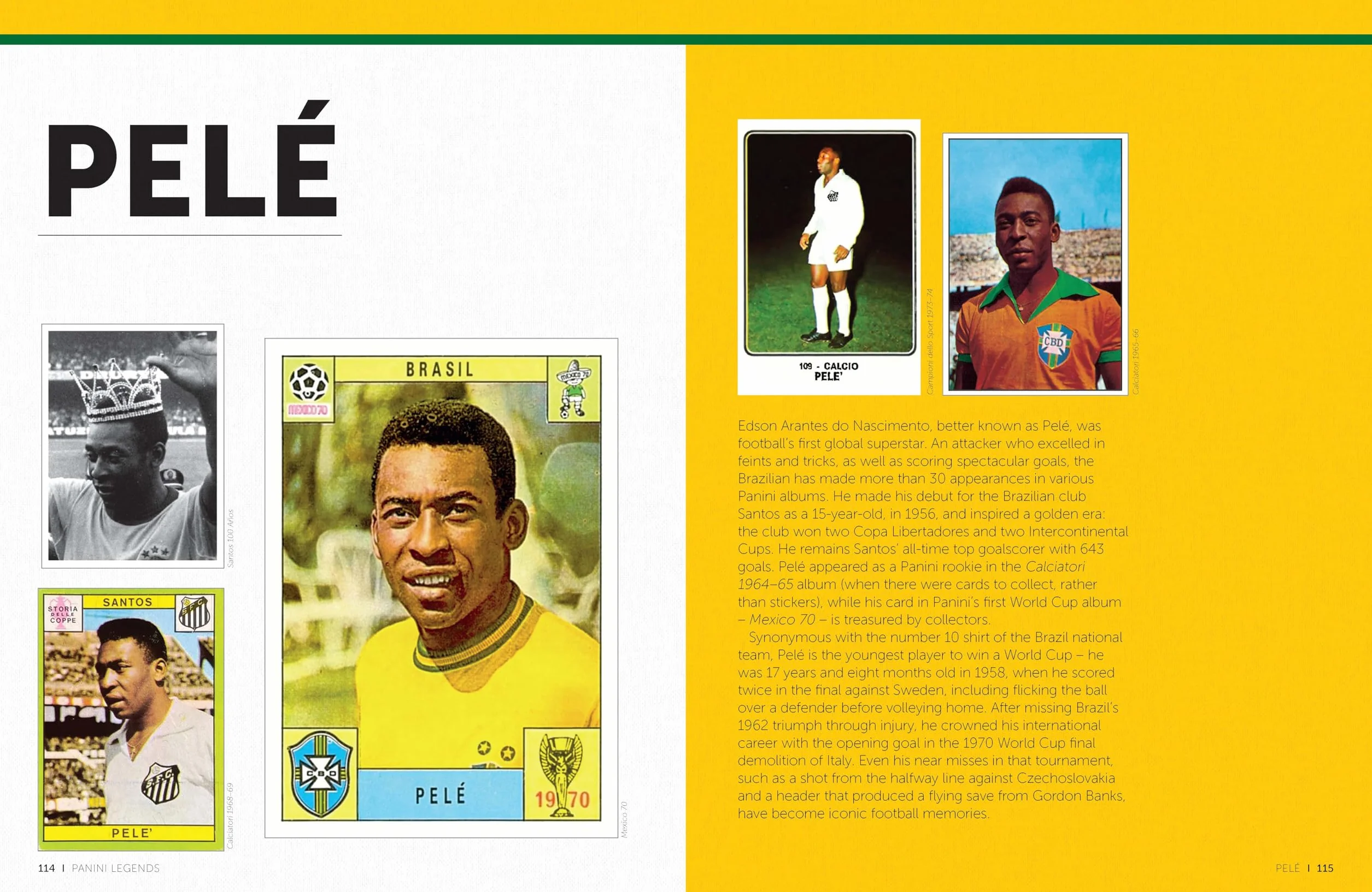Panini Legends: A Celebration of the World's Greatest Football Stickers