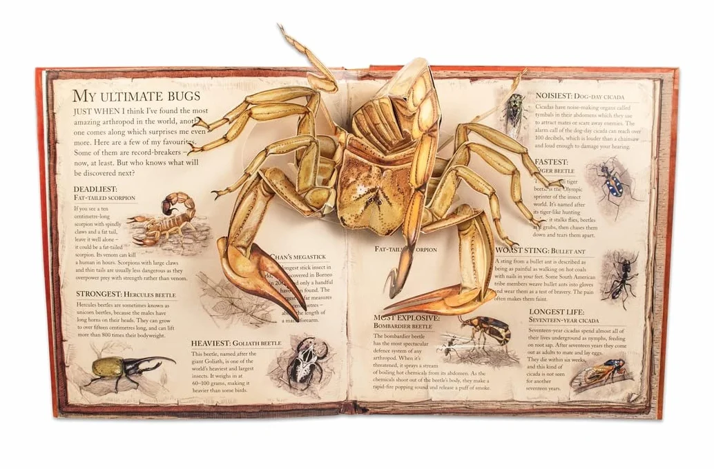 Bugs: A Stunning Pop-up Look at Insects, Spiders, and Other Creepy-Crawlies