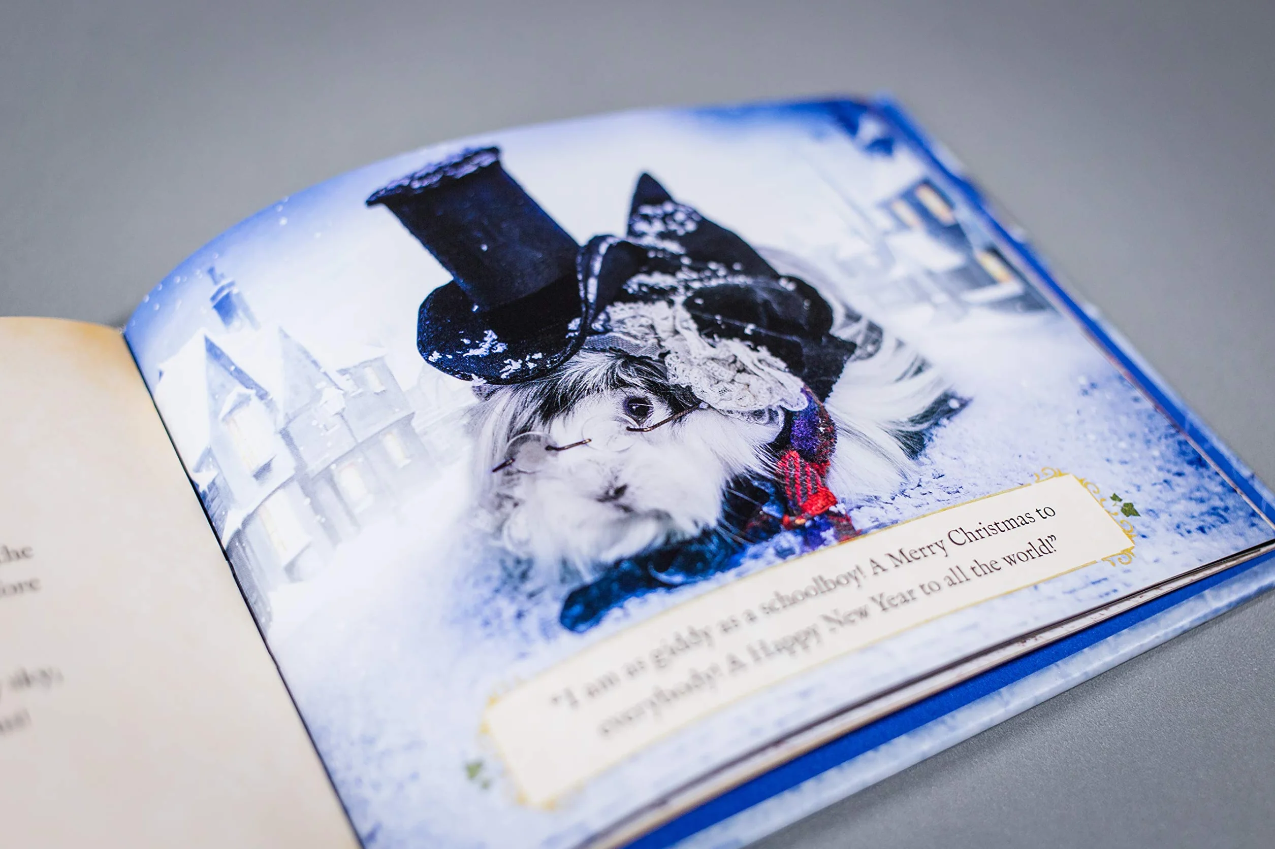 A Guinea Pig Christmas Carol