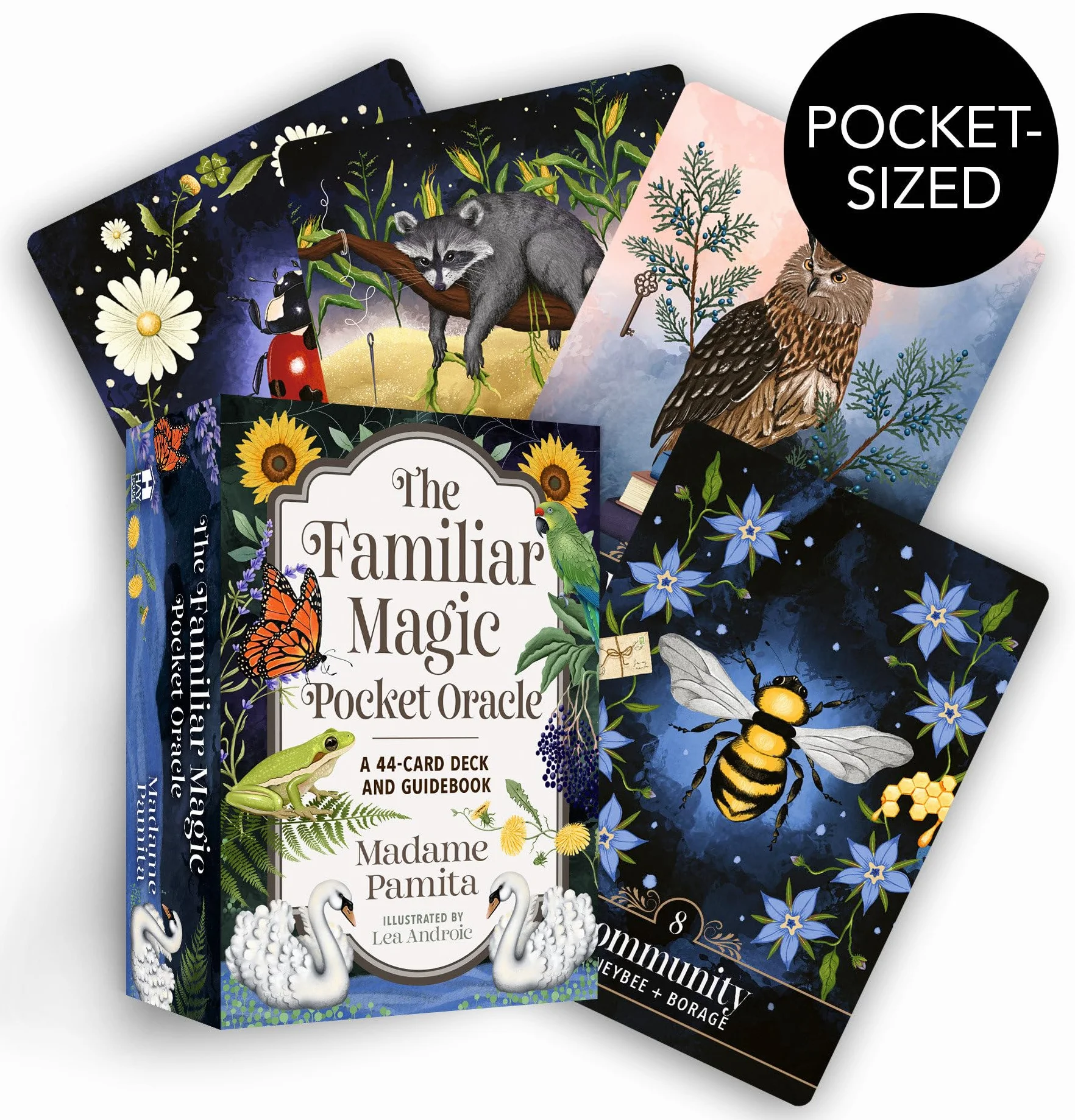 The Familiar Magic Pocket Oracle: A 44-Card Deck and Guidebook