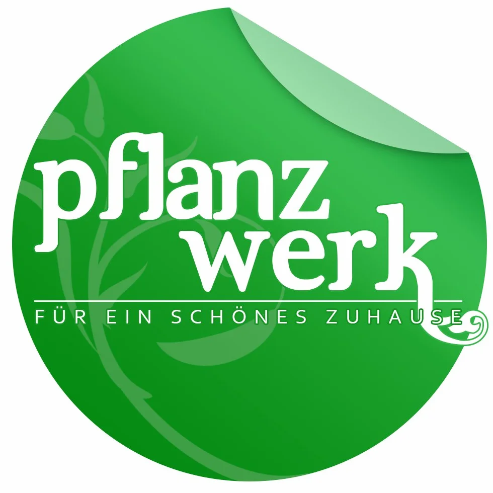 PFLANZWERK® Uniwersalny długotrwały nawóz do doniczek i ziemi kwiatowej Premium 500g - 2 sztuki - *DŁUGOTERMINOWE DZIAŁANIE* *MINERALNY* *NIEMIECKI TOWAR WYSOKIEJ JAKOŚCI*