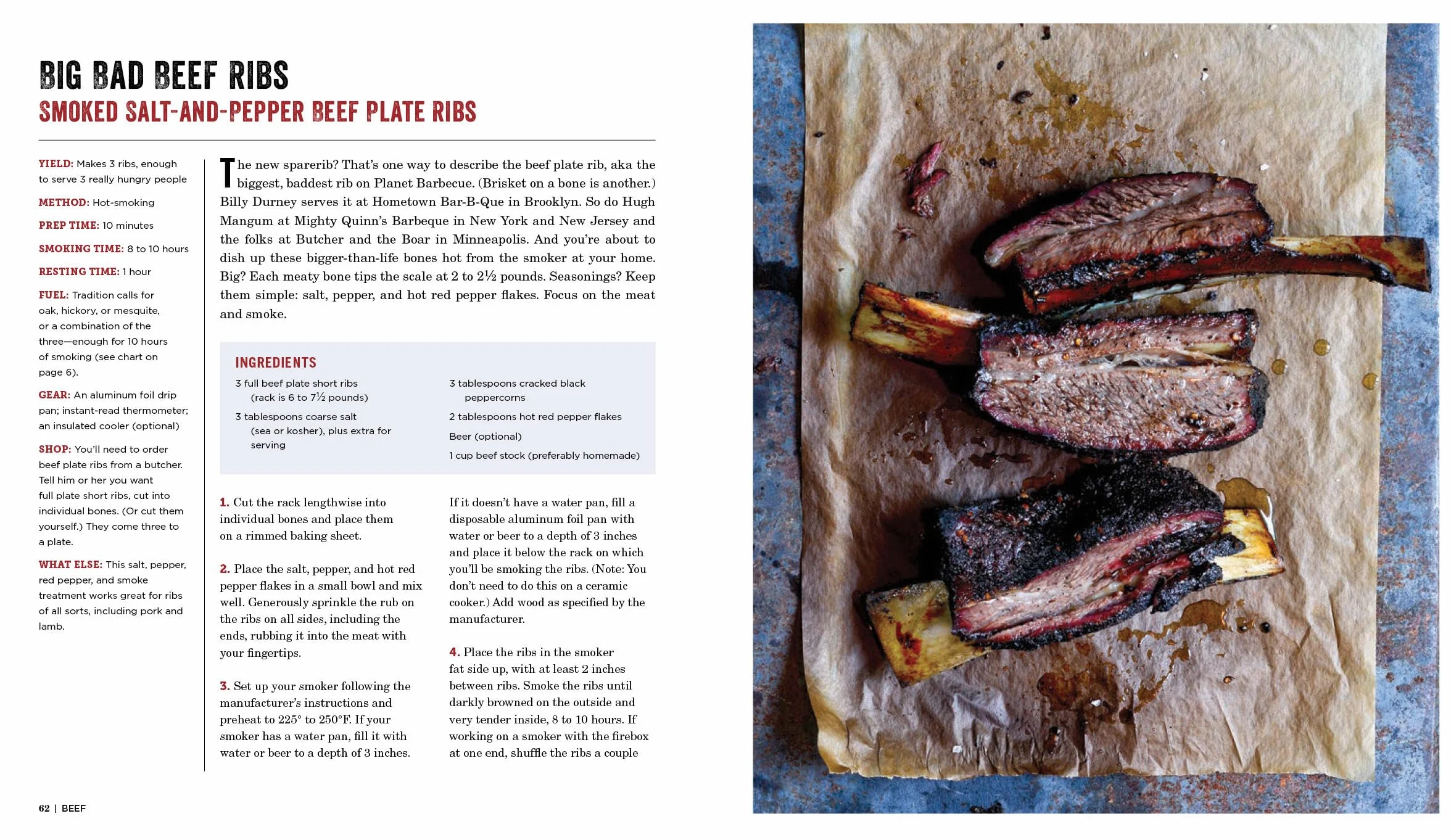 Project Smoke: Seven Steps to Smoked Food Nirvana, Plus 100 Irresistible Recipes from Classic (Slam-Dunk Brisket) to Adventurous (Smoked Bacon-Bourbon Apple Crisp)