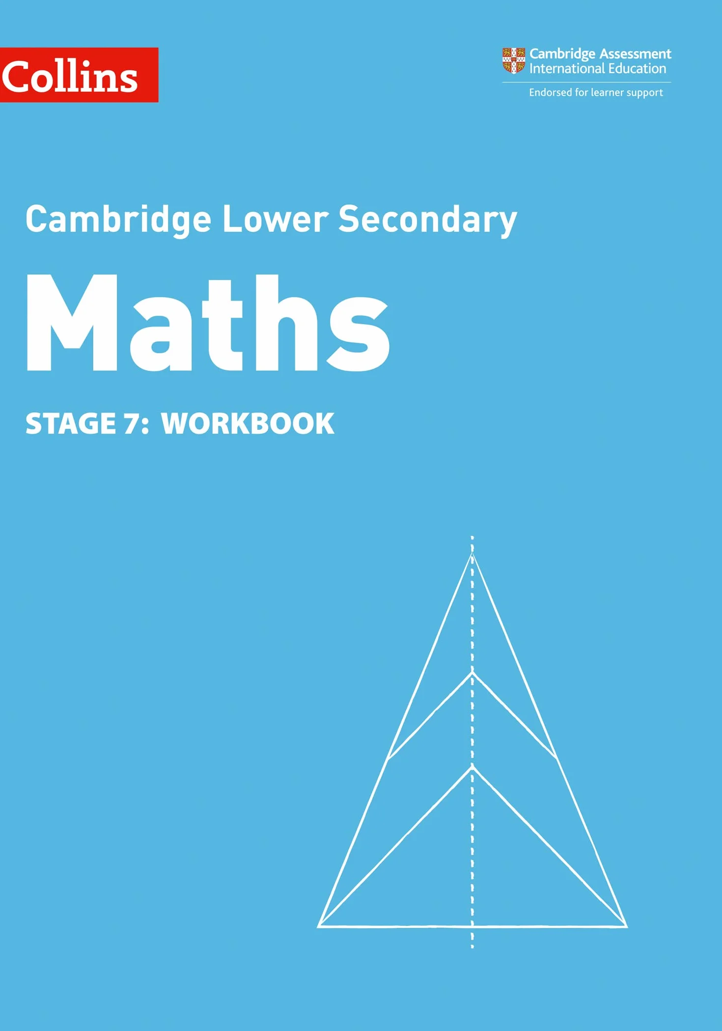 Lower Secondary Maths Workbook: Stage 7
