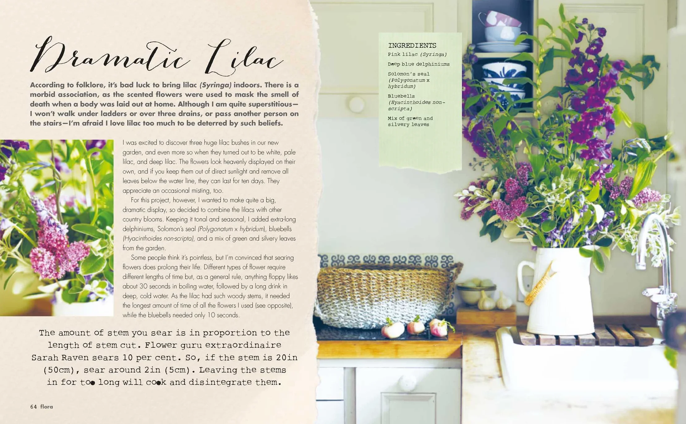Inspire: The Art of Living with Nature: 50 Beautiful Projects to Bring the Outside in