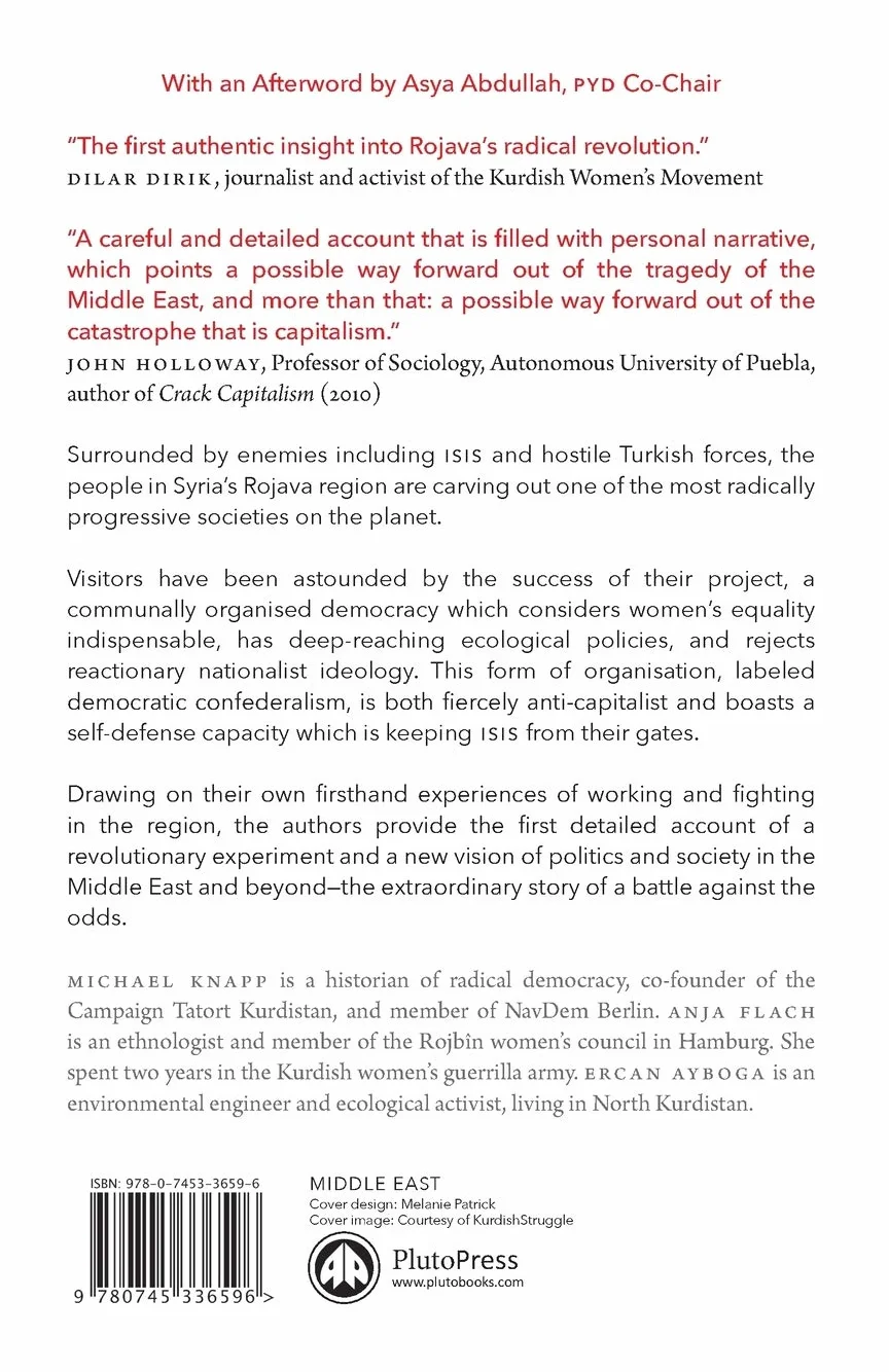 Revolution in Rojava: Democratic Autonomy and Women's Liberation in the Syrian Kurdistan