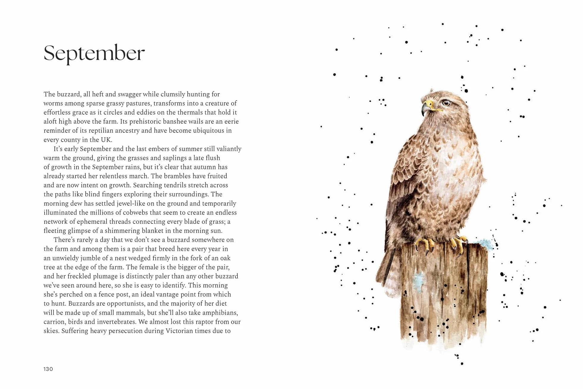 A Wilding Year: Bringing Life Back to the Land