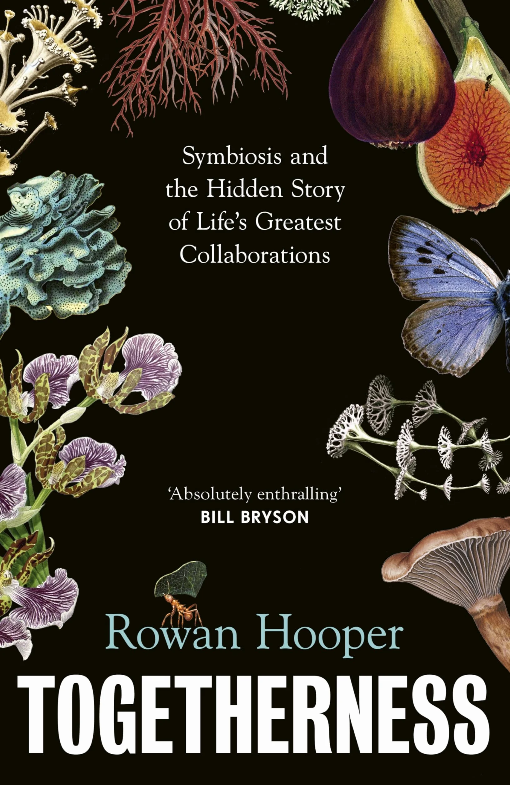 Togetherness: Symbiosis and the Hidden Story of Life’s Greatest Collaborations