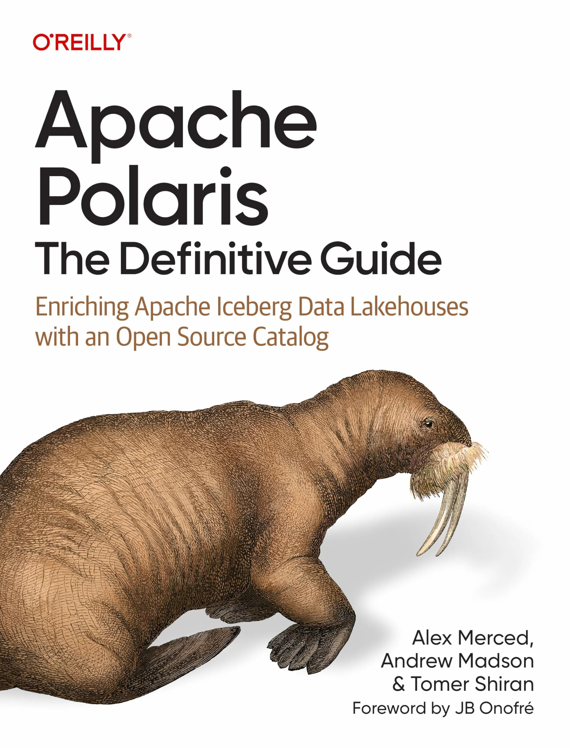 Apache Polaris: The Definitive Guide: Enriching Apache Iceberg Data Lakehouses with an Open Source Catalog