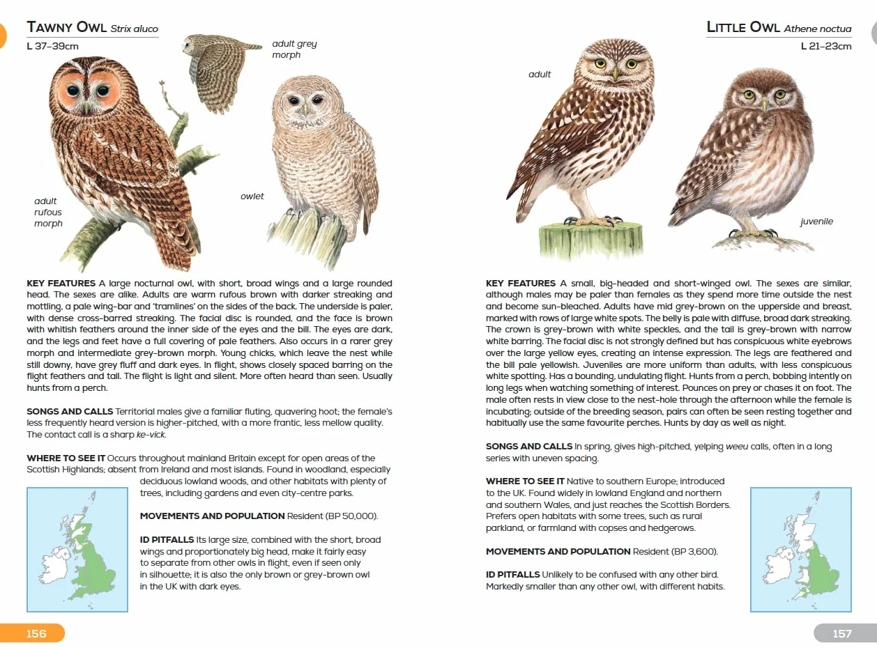 RSPB Pocket Guide to British Birds
