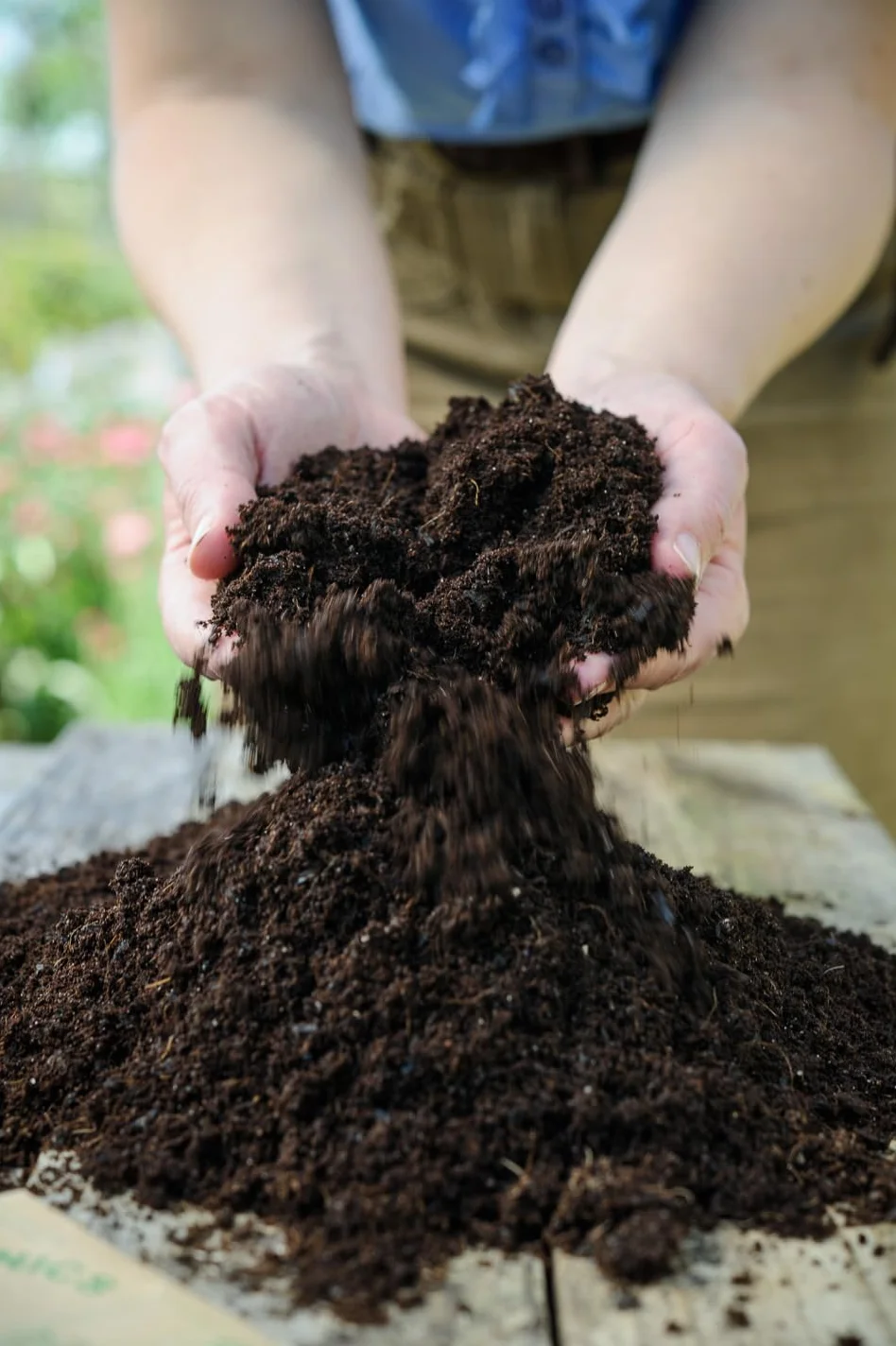 BIOVITA Podłoga uniwersalna 20 l wieloskładnikowa gleba do roślin gotowa do użycia gleba pochodzenia naturalnego