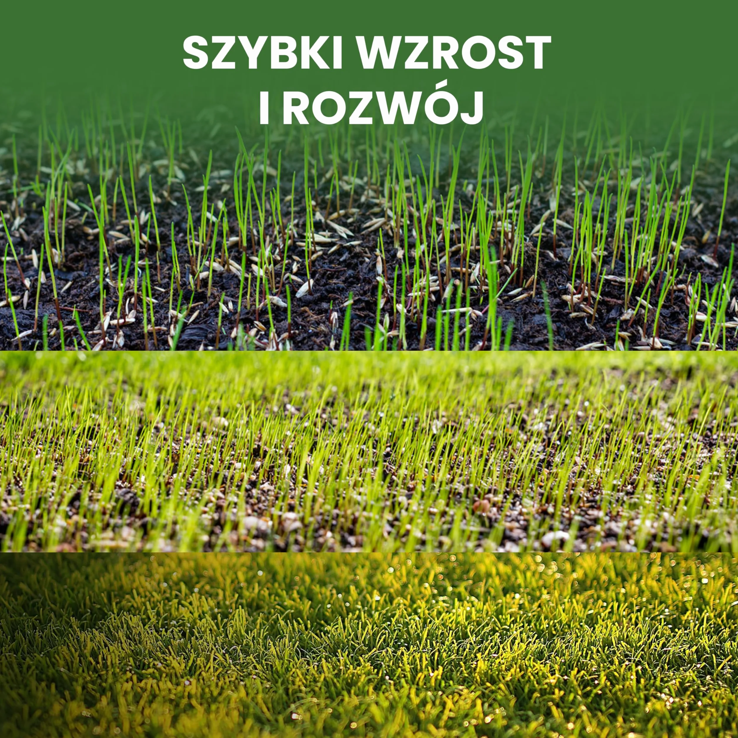 LERAVA® EXPRESS nasiona trawy (70m²) - szybki wzrost i odporność na deptanie - trawa regeneracyjna do ogrodów słonecznych i półcienistych - odporna na suszę - jakość Made in Italy - 1,8 kg