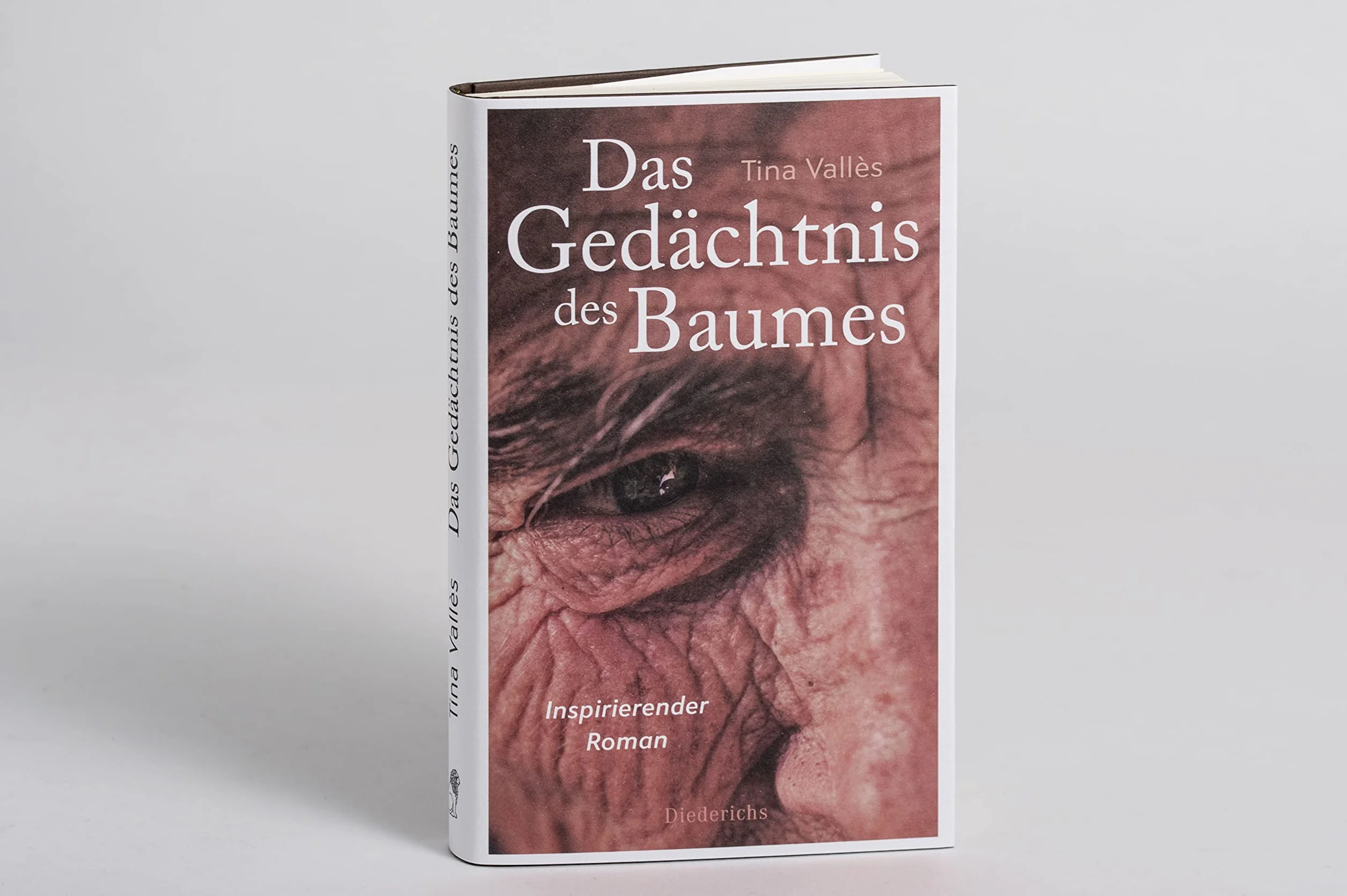 Das Gedächtnis des Baumes: Inspirierender Roman