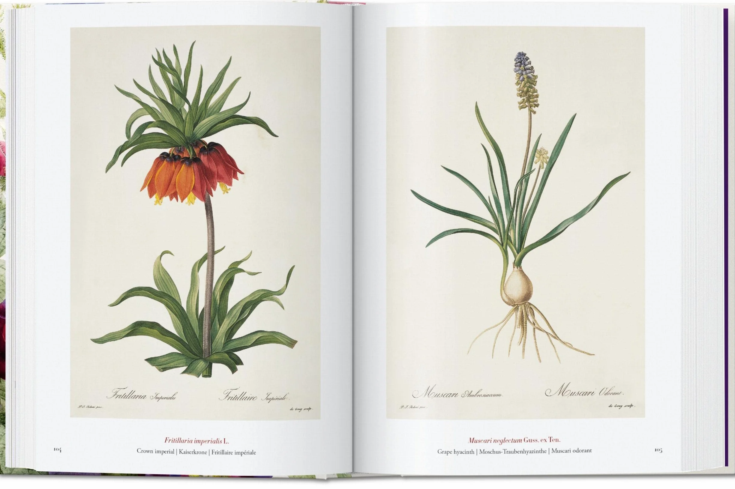 Le livre des fleurs: The Book of Flowers. 45th Ed.