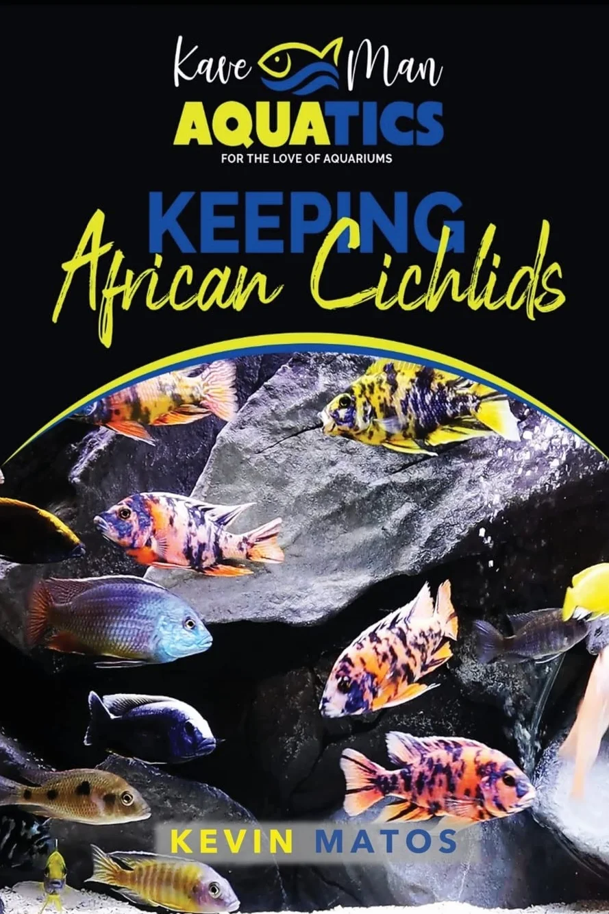 Keeping African Cichlids: Complete beginners guide on keeping an African Cichlid Aquarium