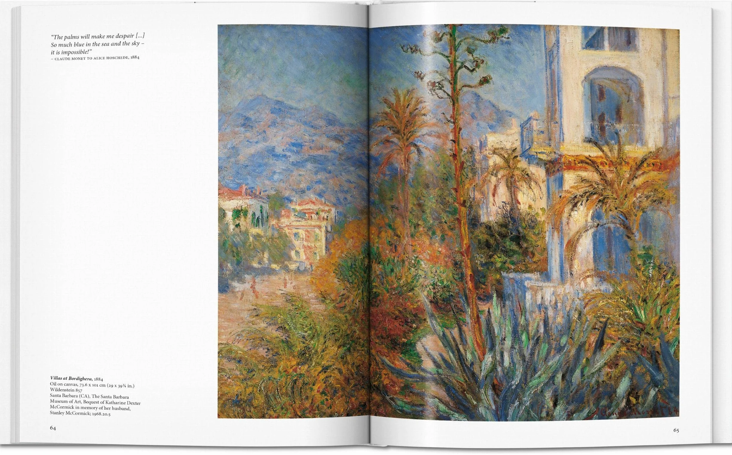 Monet: Capturing the Ever-Changing Face of Reality