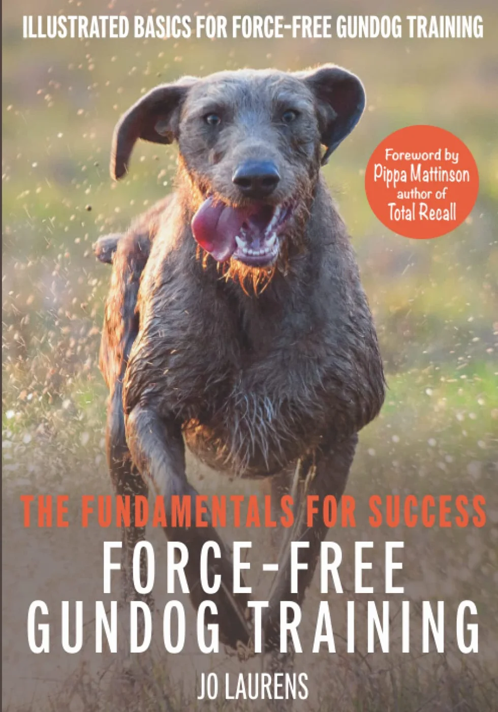 Force-Free Gundog Training: The Fundamentals for Success