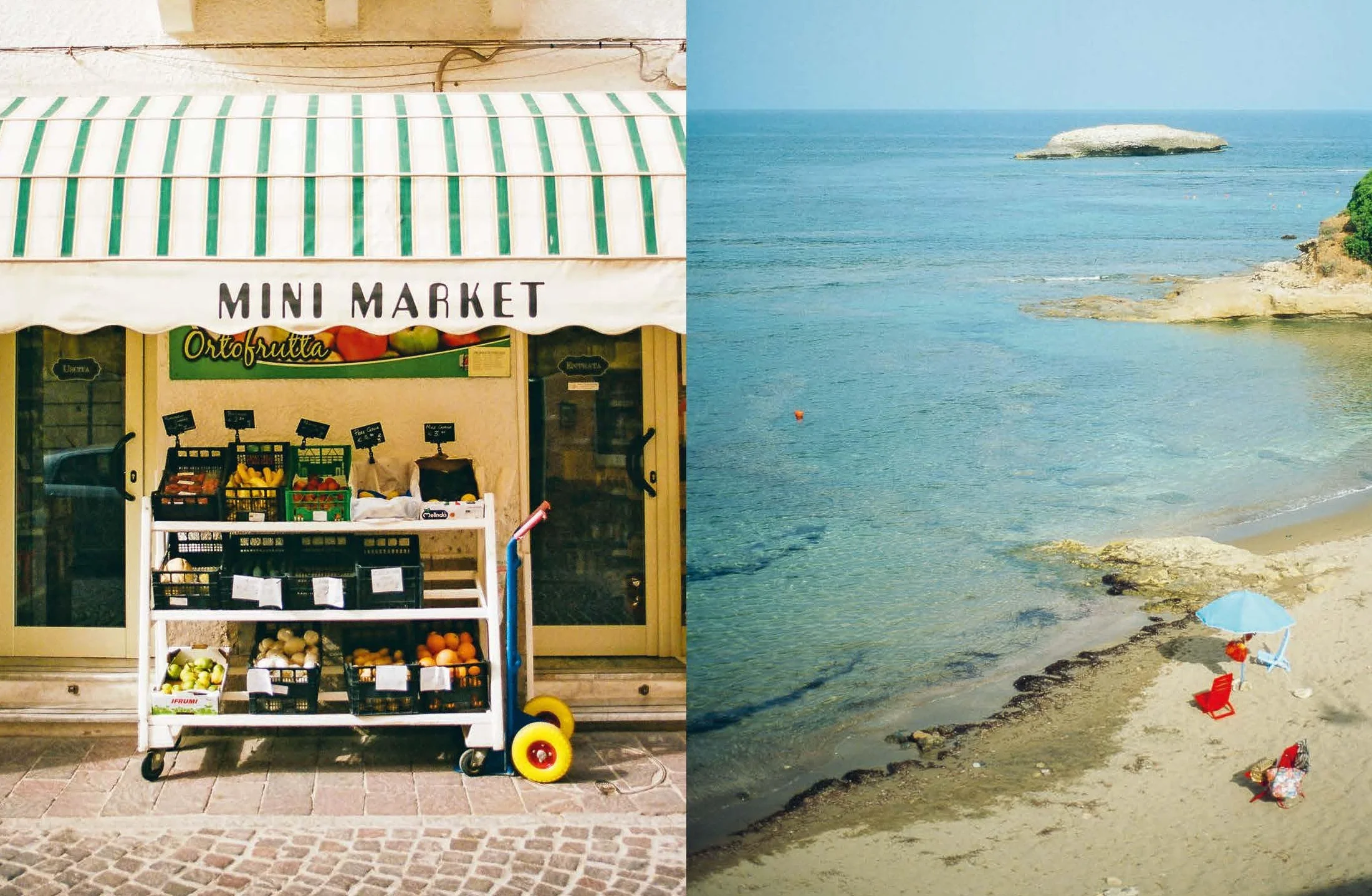 Wild Figs and Fennel: A Year in an Italian Kitchen