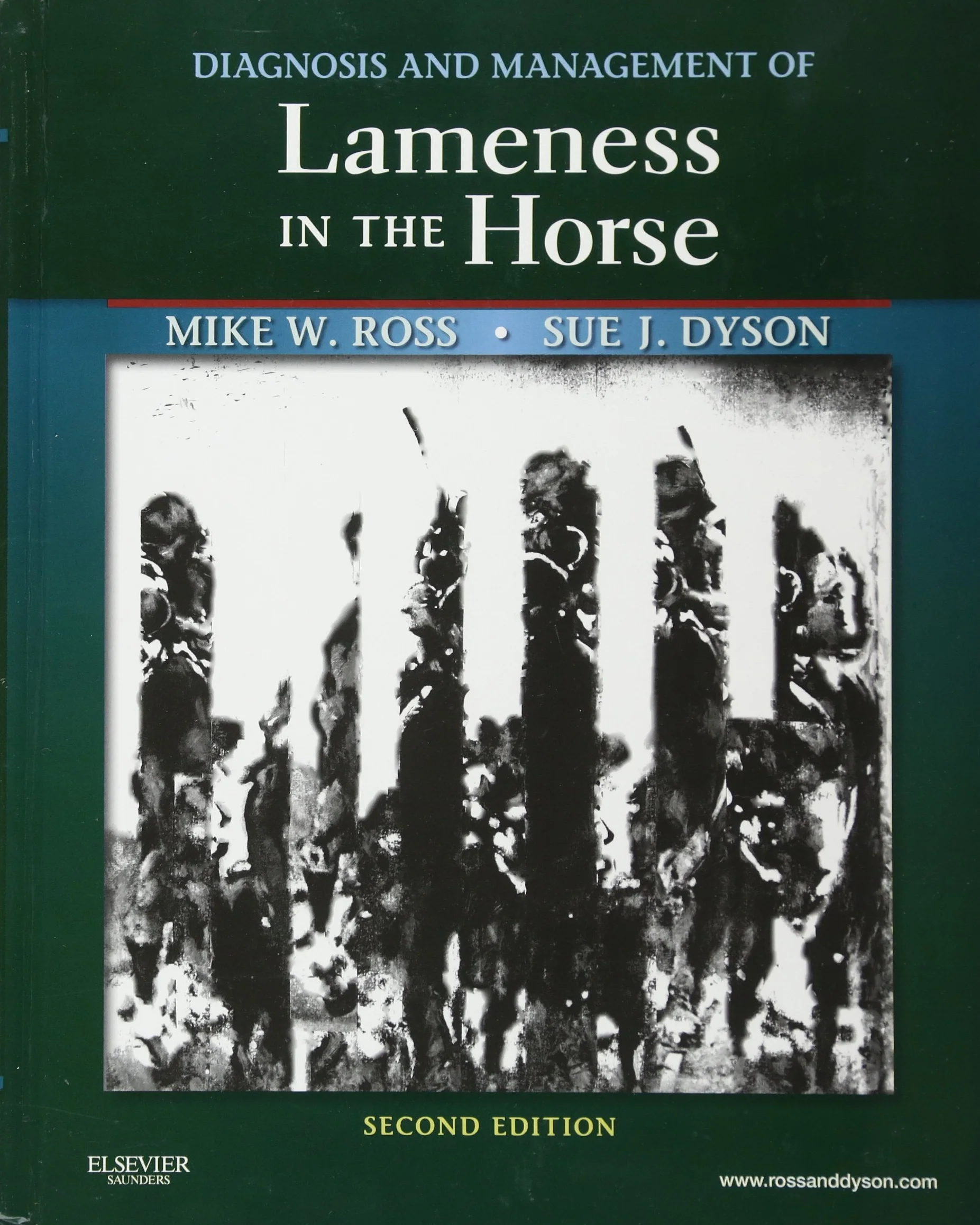Diagnosis and Management of Lameness in the Horse